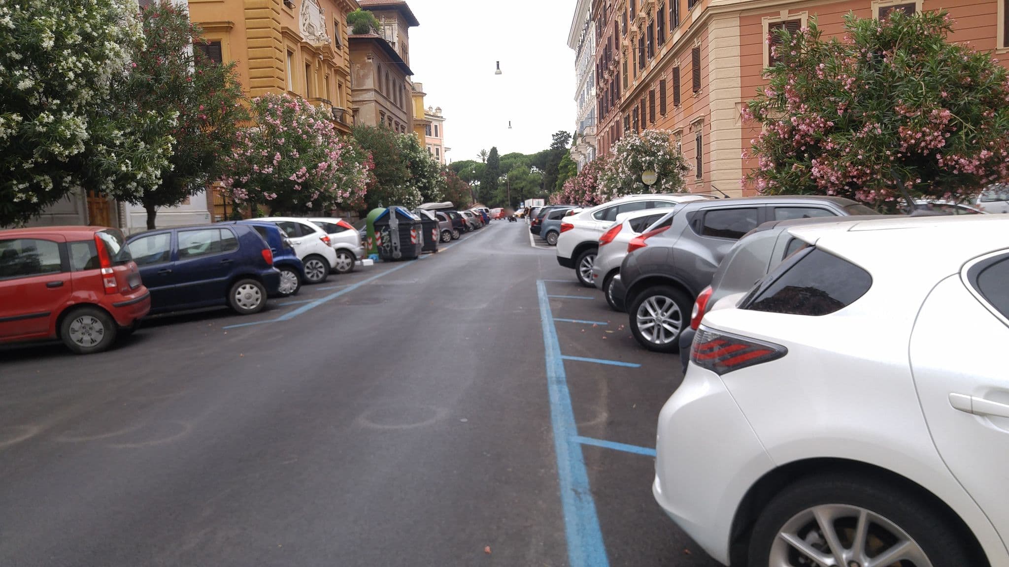 Street view near Sweet Terrace, Celio — © eneerhut (CC BY-SA · Mapillary)