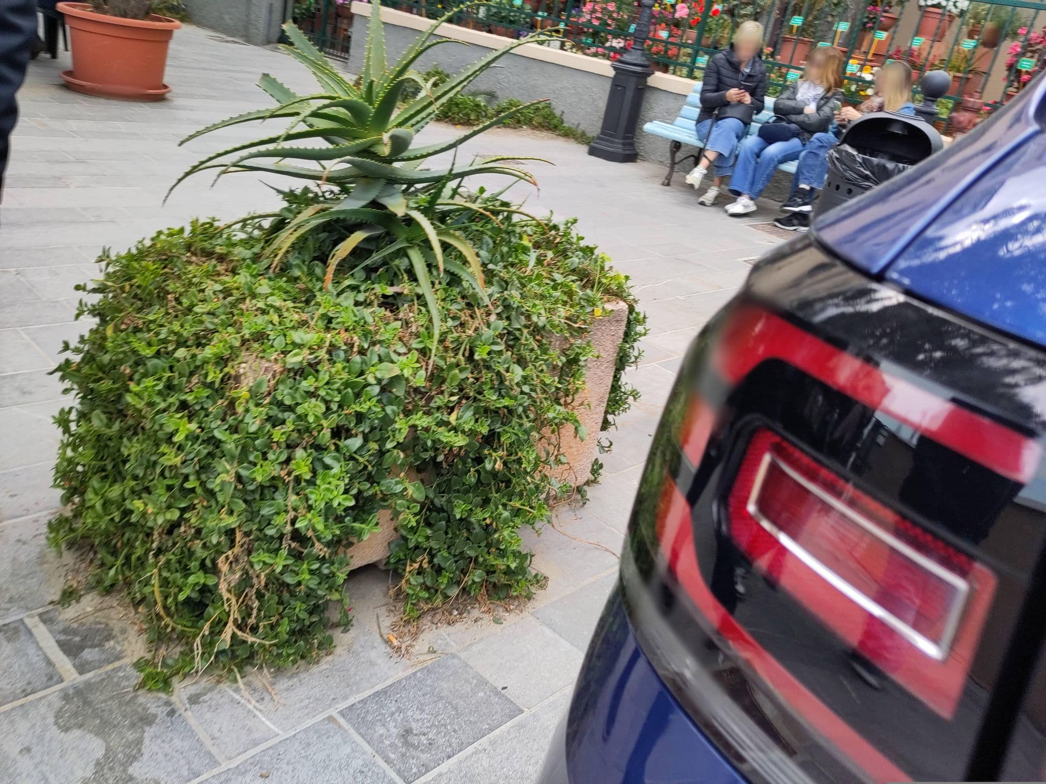 Street view near Hotel Lido Alassio, Alassio — © marcuscalabresus (CC BY-SA · Mapillary)