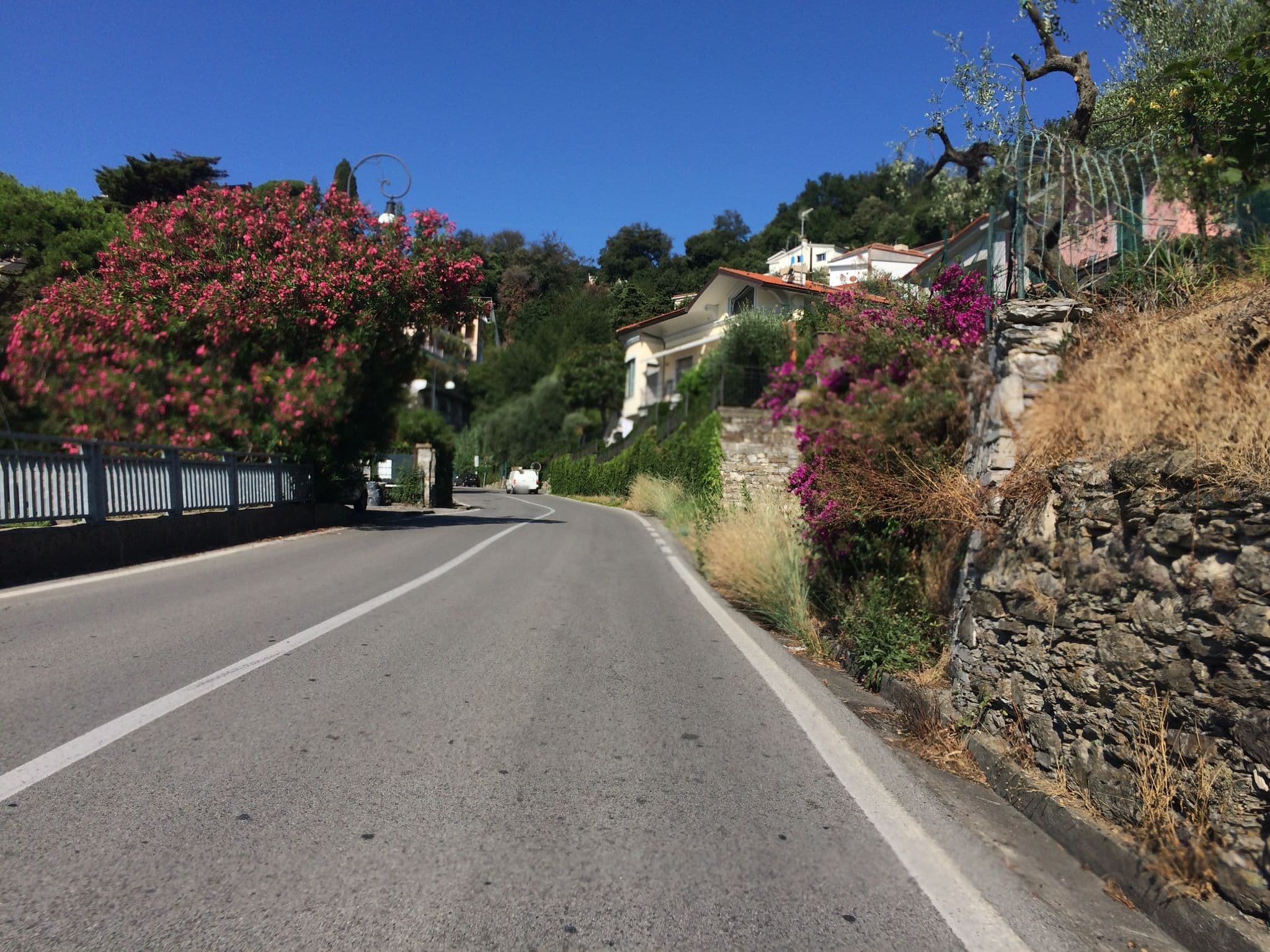Street view near Hotel Primosole, Santa Margherita Ligure — © cxc (CC BY-SA · Mapillary)