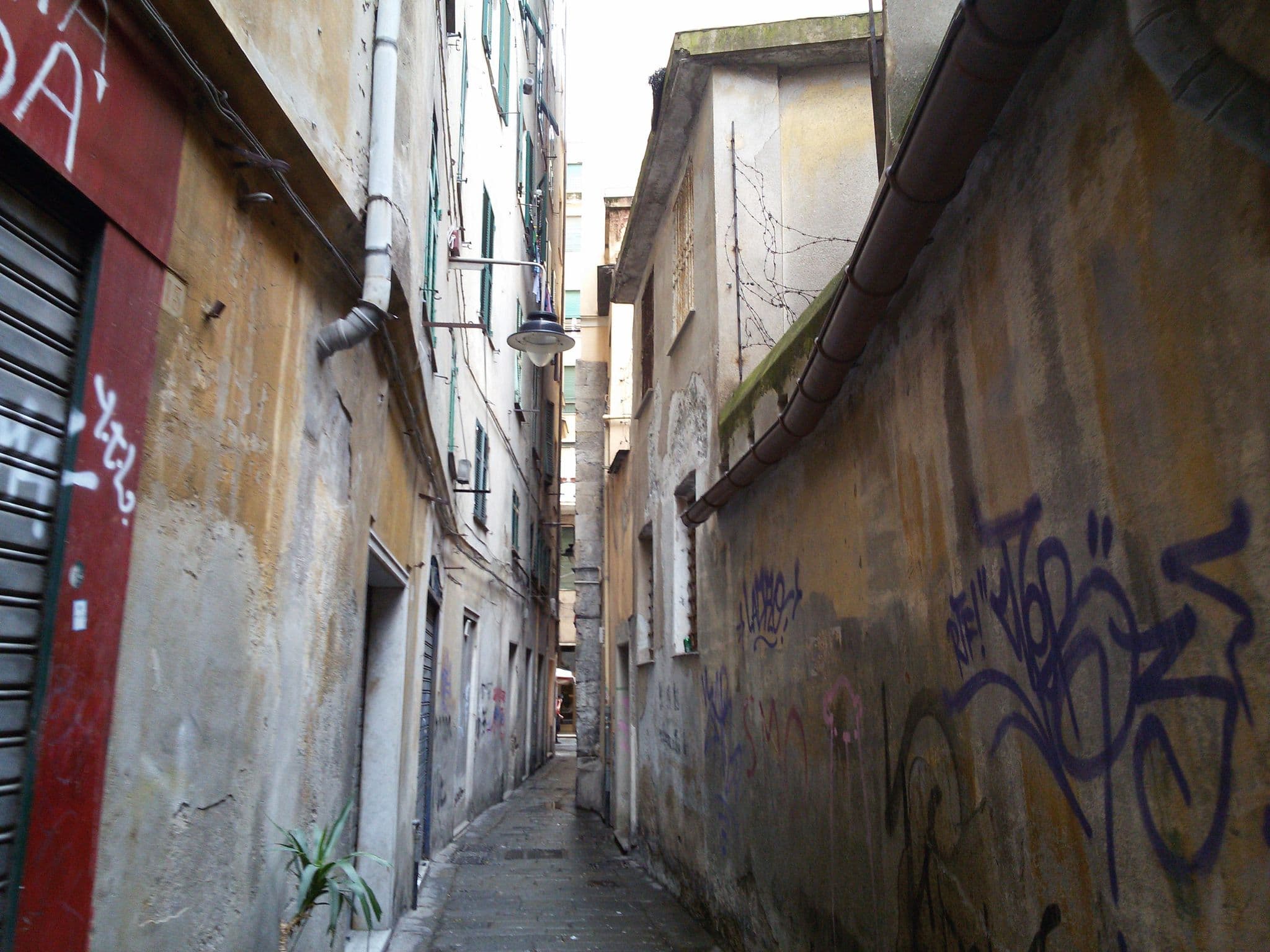 Street view near La Casa di Einstein, Genoa — © ale_zena_it (CC BY-SA · Mapillary)