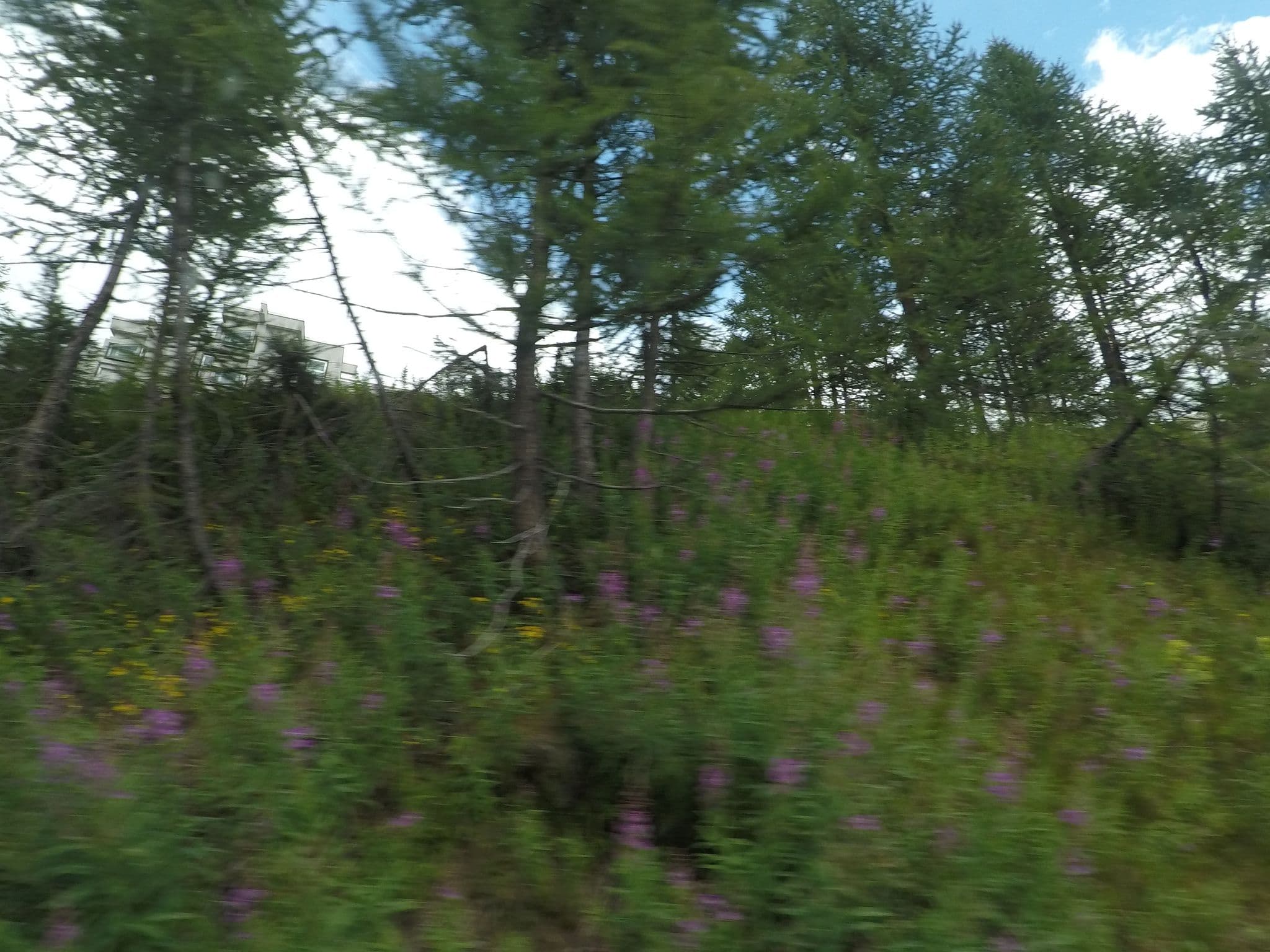 Street view near Saint Hubertus Resort, Valtournenche — © bcostacurta (CC BY-SA · Mapillary)