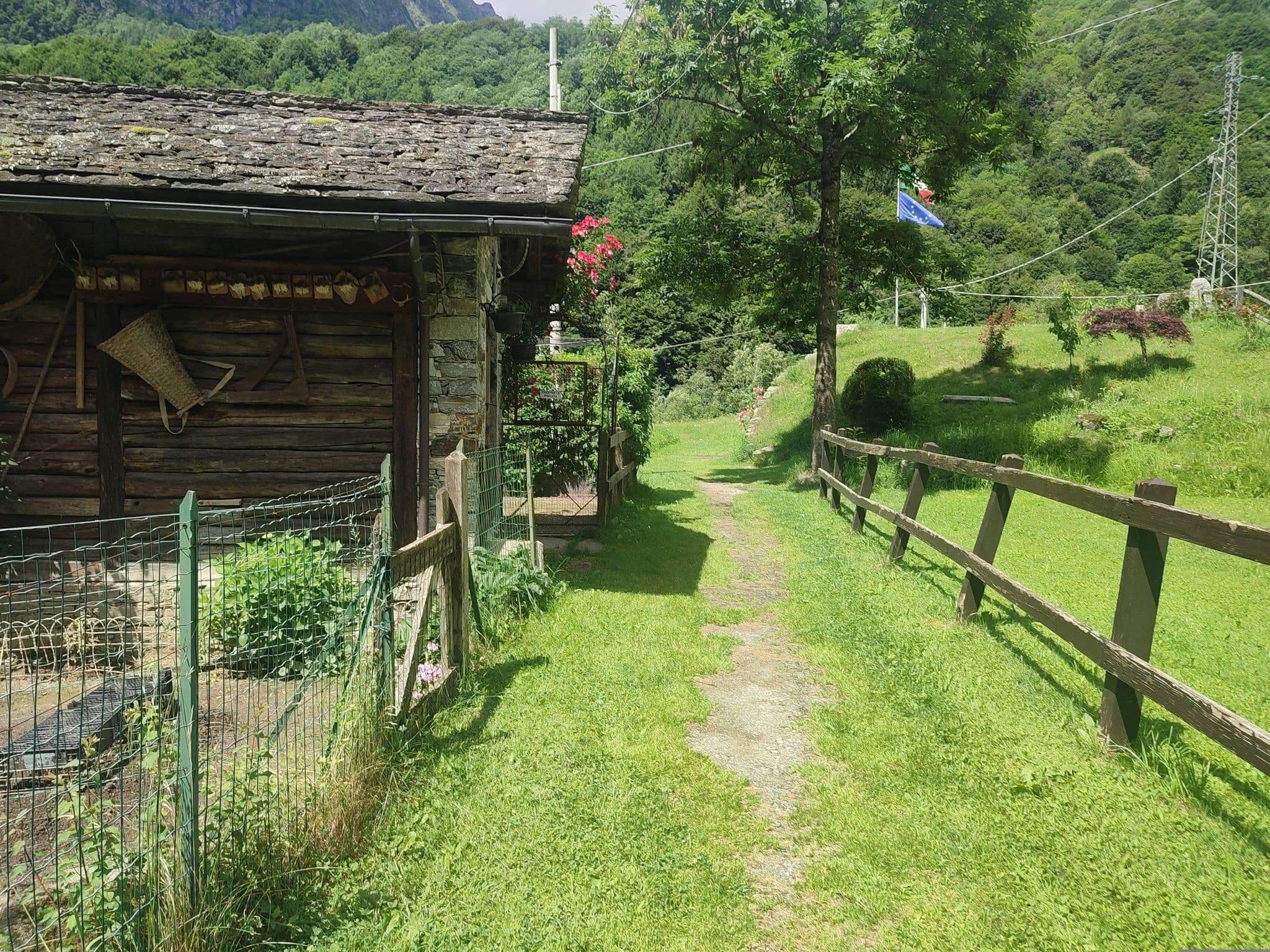 Street view near Montagna di Luce - SNC di Gabbio Sergio & C., Ayas — © mikki65 (CC BY-SA · Mapillary)