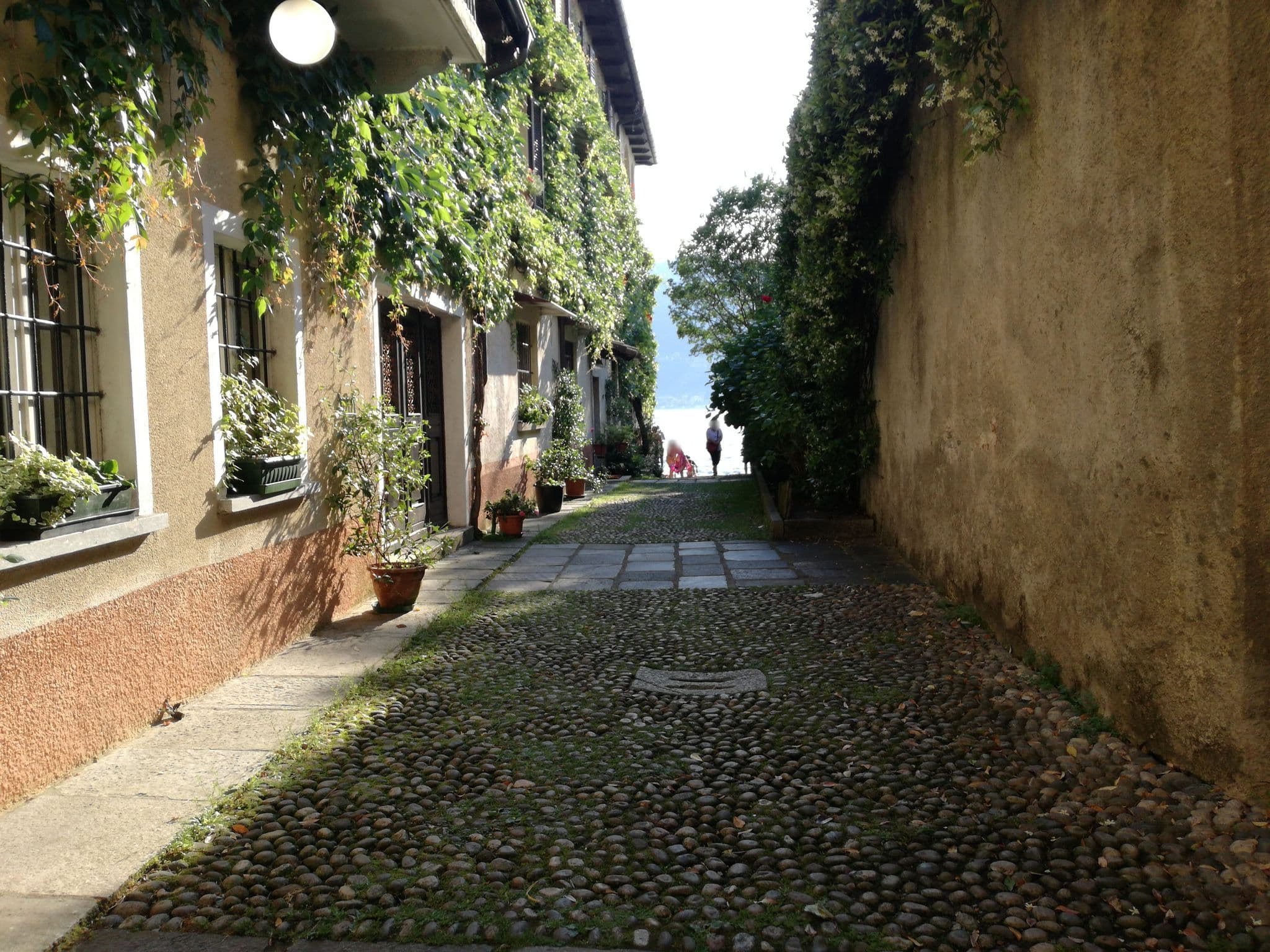 Street view near Ristorante Albergo Olina, Pettenasco — © michaelmontani (CC BY-SA · Mapillary)