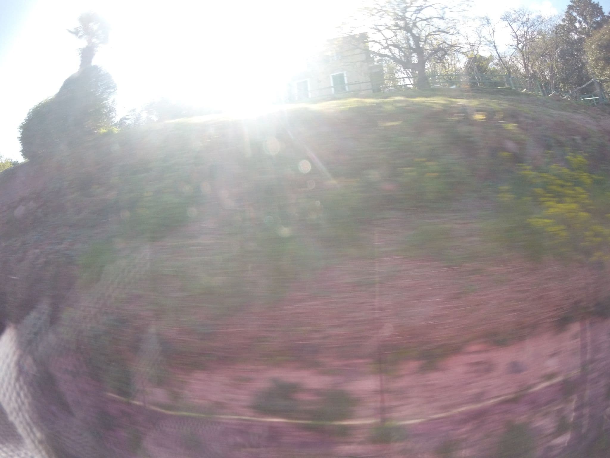 Street view near Il Nido sul Lago, Stresa — © dave683 (CC BY-SA · Mapillary)