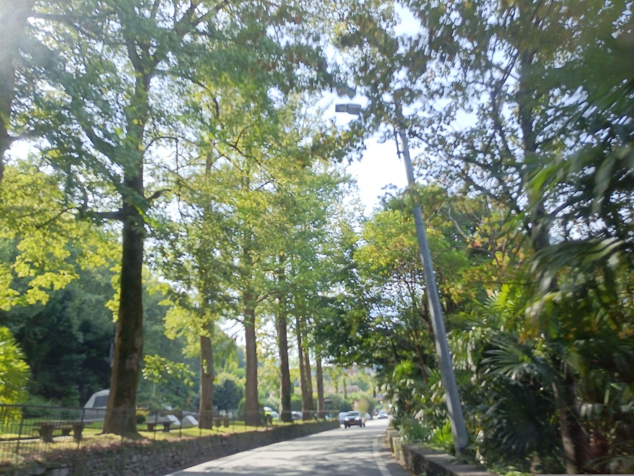 Street view near la darsene, Cannobio — © namuit (CC BY-SA · Mapillary)