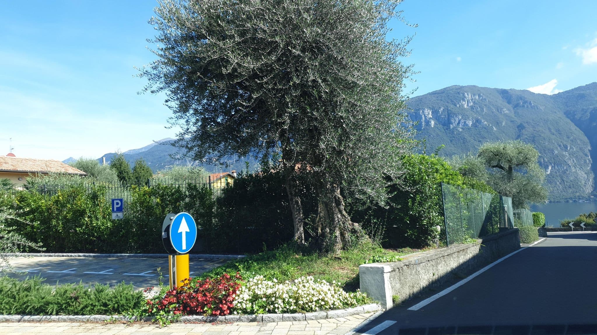 Street view near Villa Olivee, Bellagio — © jopparn (CC BY-SA · Mapillary)