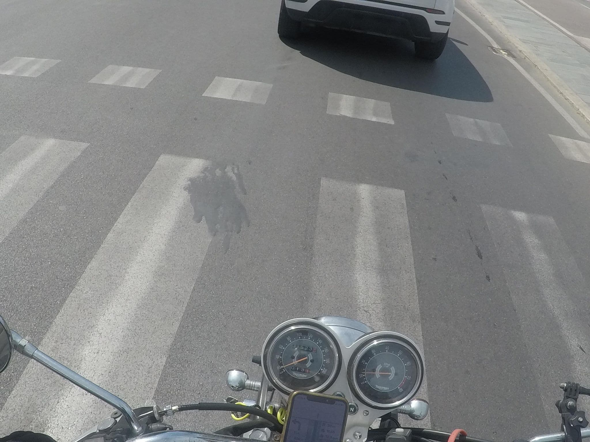 Street view near Grand Hotel Excelsior, Viareggio — © cxc (CC BY-SA · Mapillary)