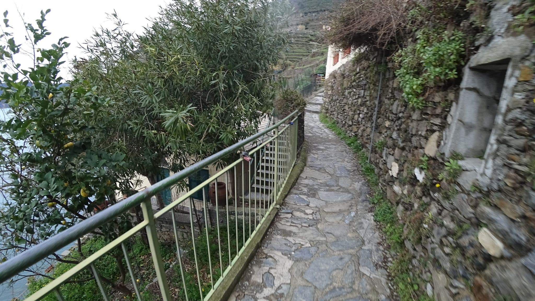 Street view near Il Conventino delle 5 Terre - Vernazza, Monterosso al Mare — © danbjoseph (CC BY-SA · Mapillary)