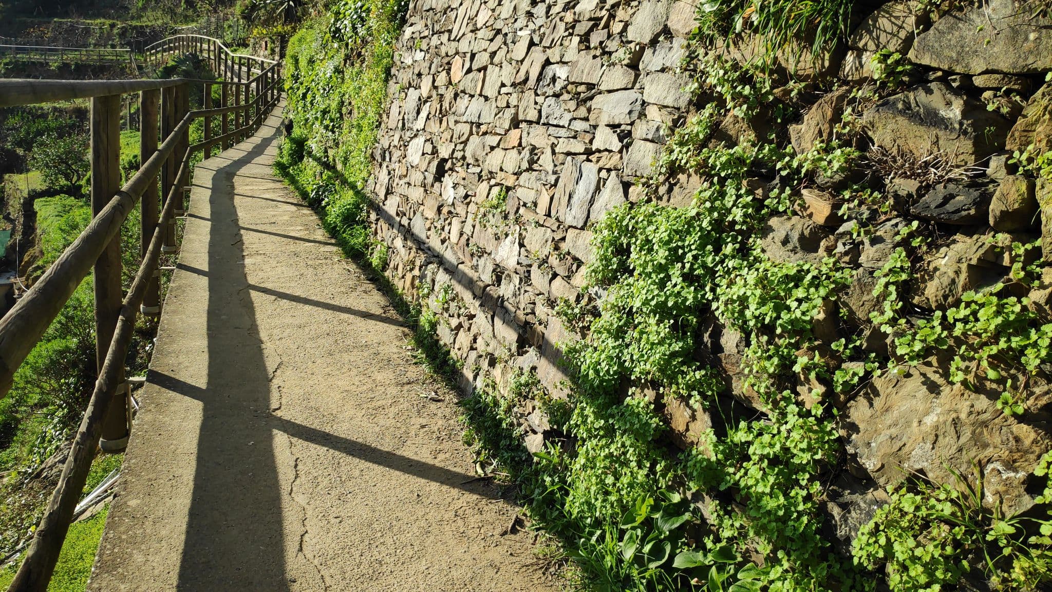 Street view near Cà D'Andrean, Riomaggiore — © marcuscalabresus (CC BY-SA · Mapillary)