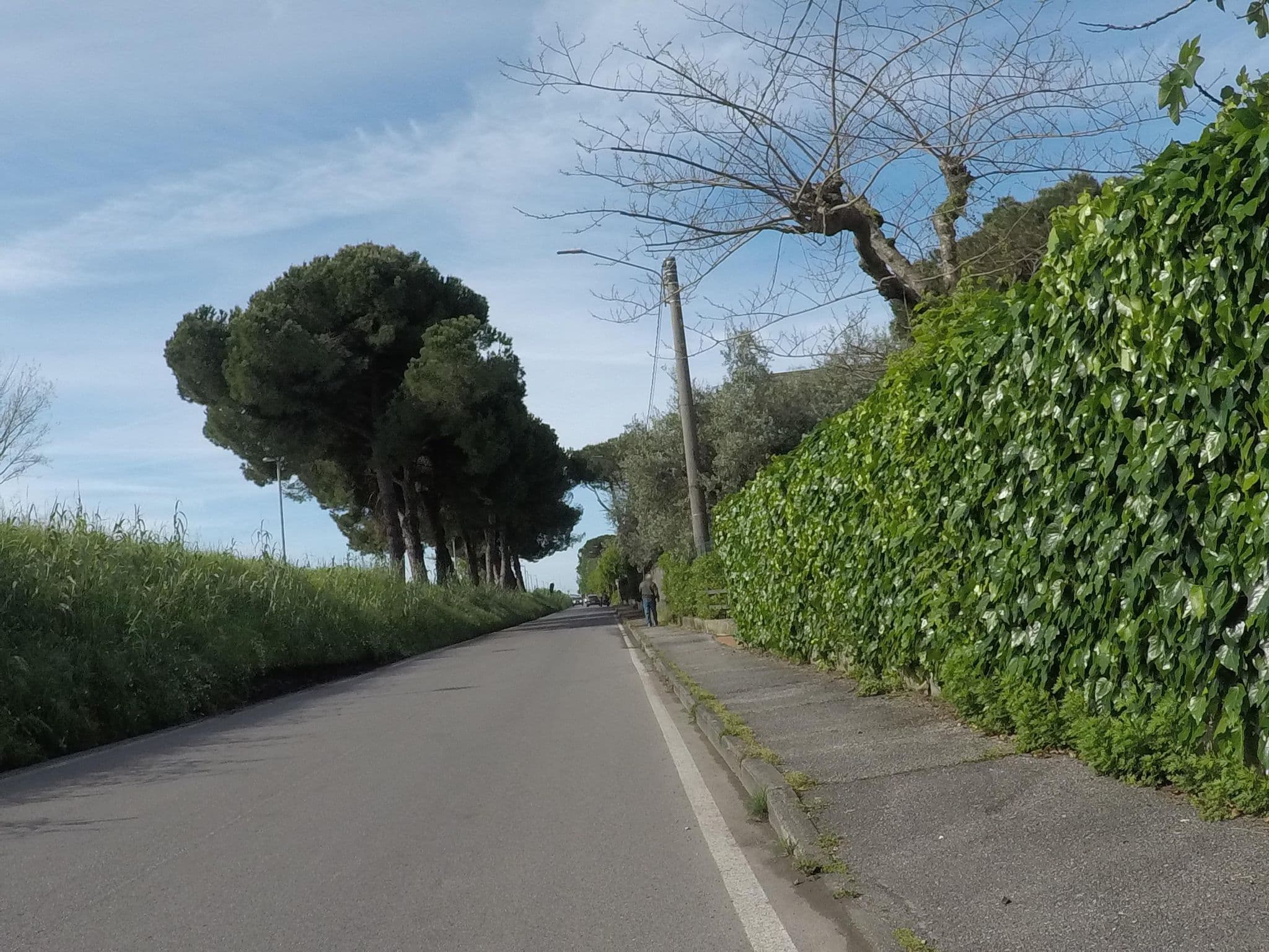Street view near Pensione Luciana di Celi Maria Annunziata & C., Marina di Massa — © cxc (CC BY-SA · Mapillary)
