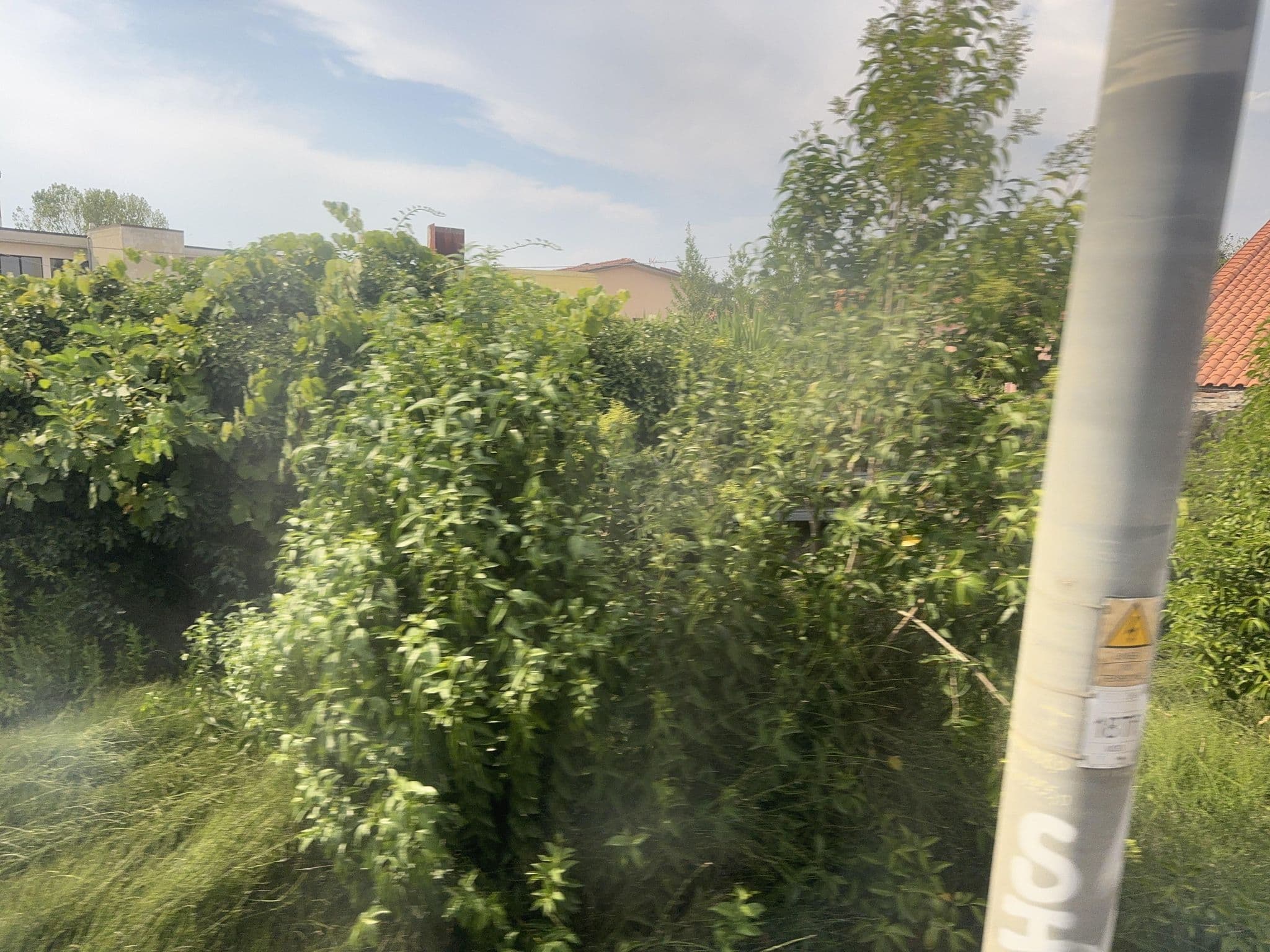 Street view near Park House Murales, Pisa — © mapconcierge (CC BY-SA · Mapillary)