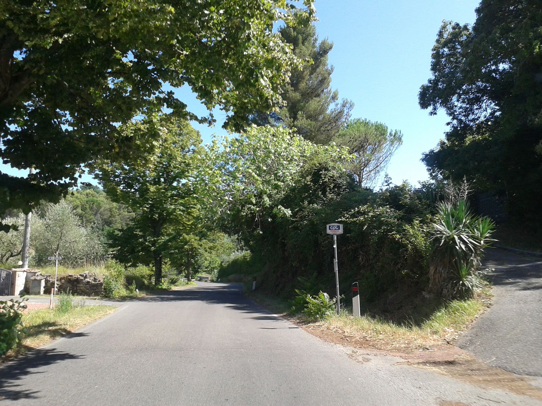 Street view near What About Pisa, Casciana Terme — © momix (CC BY-SA · Mapillary)