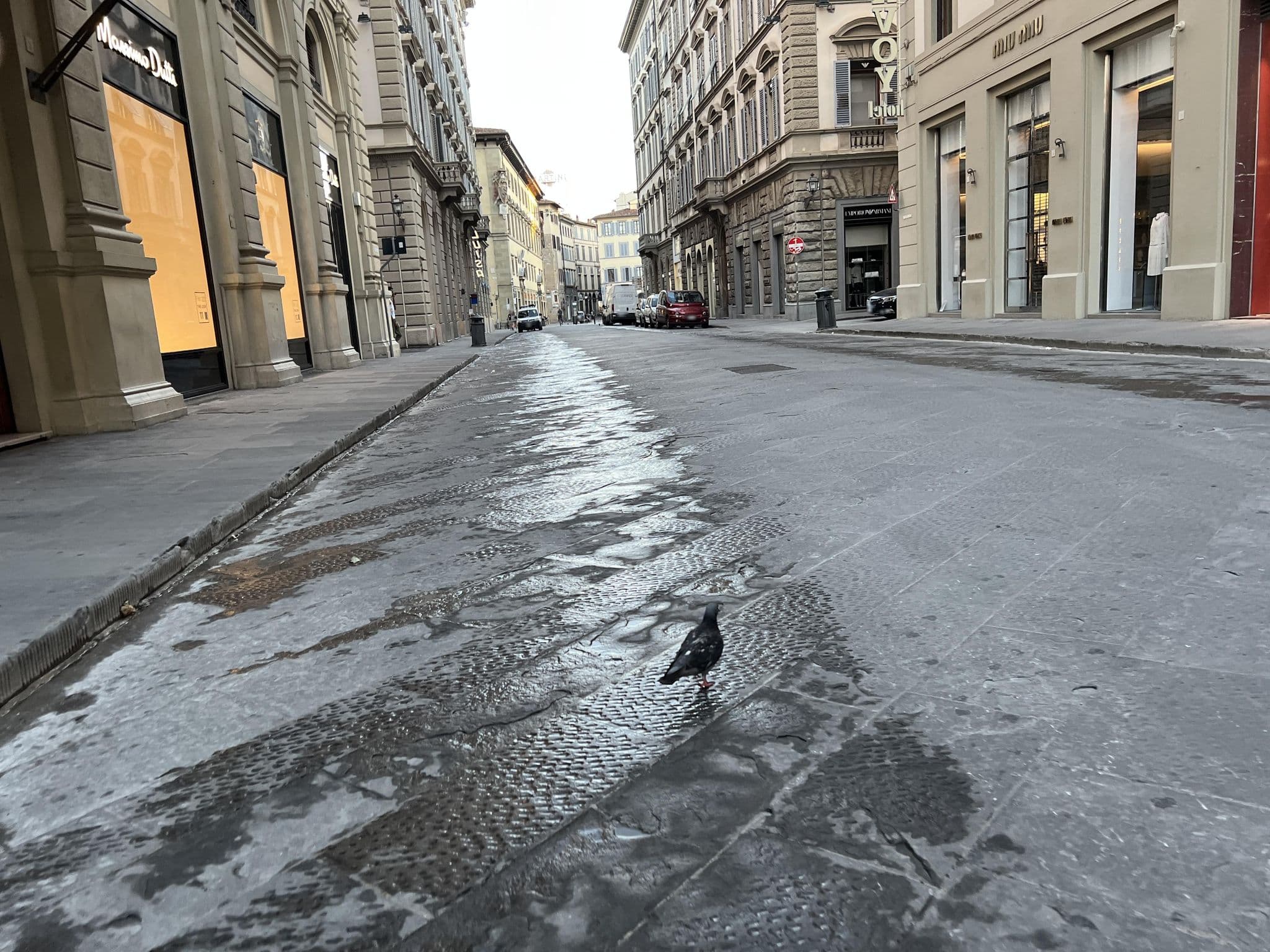 Street view near Hotel Savoy Firenze, Florence — © shogohirasawa (CC BY-SA · Mapillary)