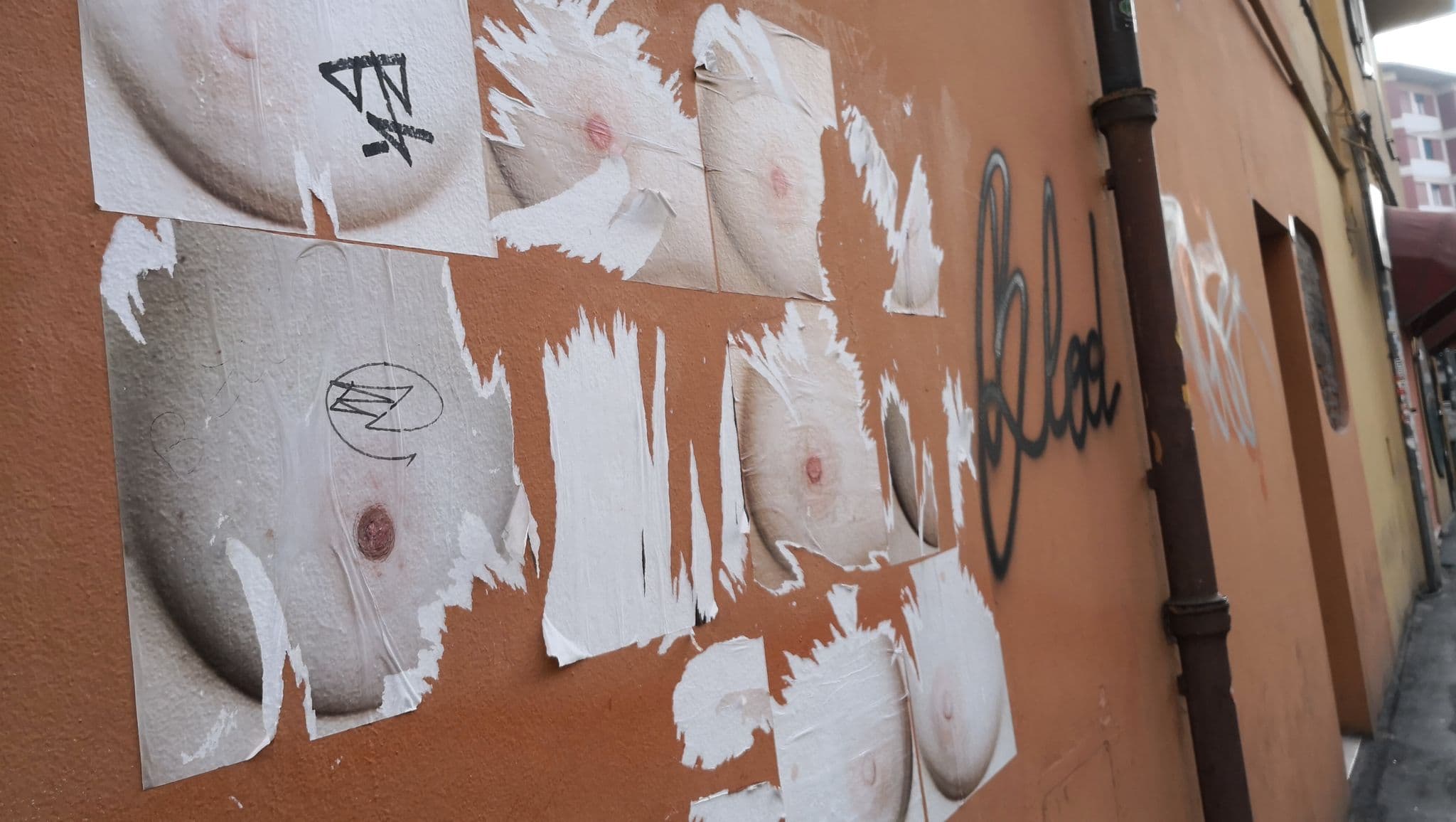 Street view near StageUp Sport & Leisure Business, Bologna — © linqh (CC BY-SA · Mapillary)