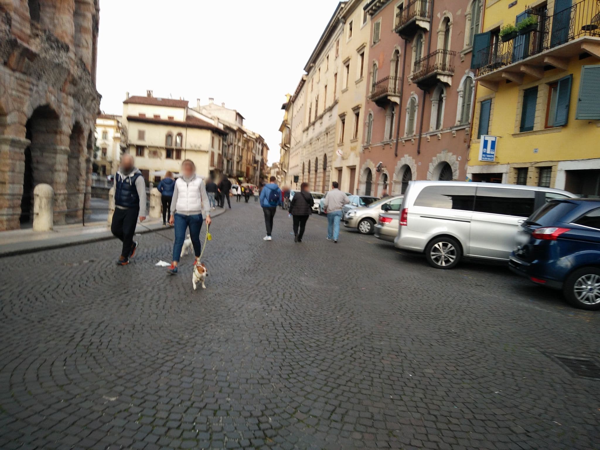 Street view near Arena Dreams, Verona — © zerrossetto (CC BY-SA · Mapillary)