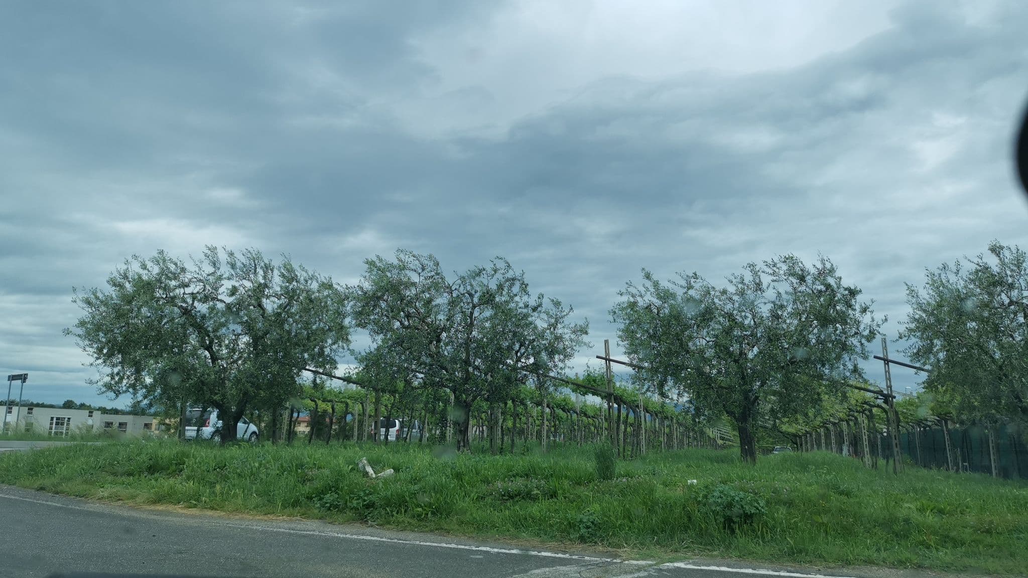 Street view near B&B Soleluna, Bardolino — © plexi32 (CC BY-SA · Mapillary)