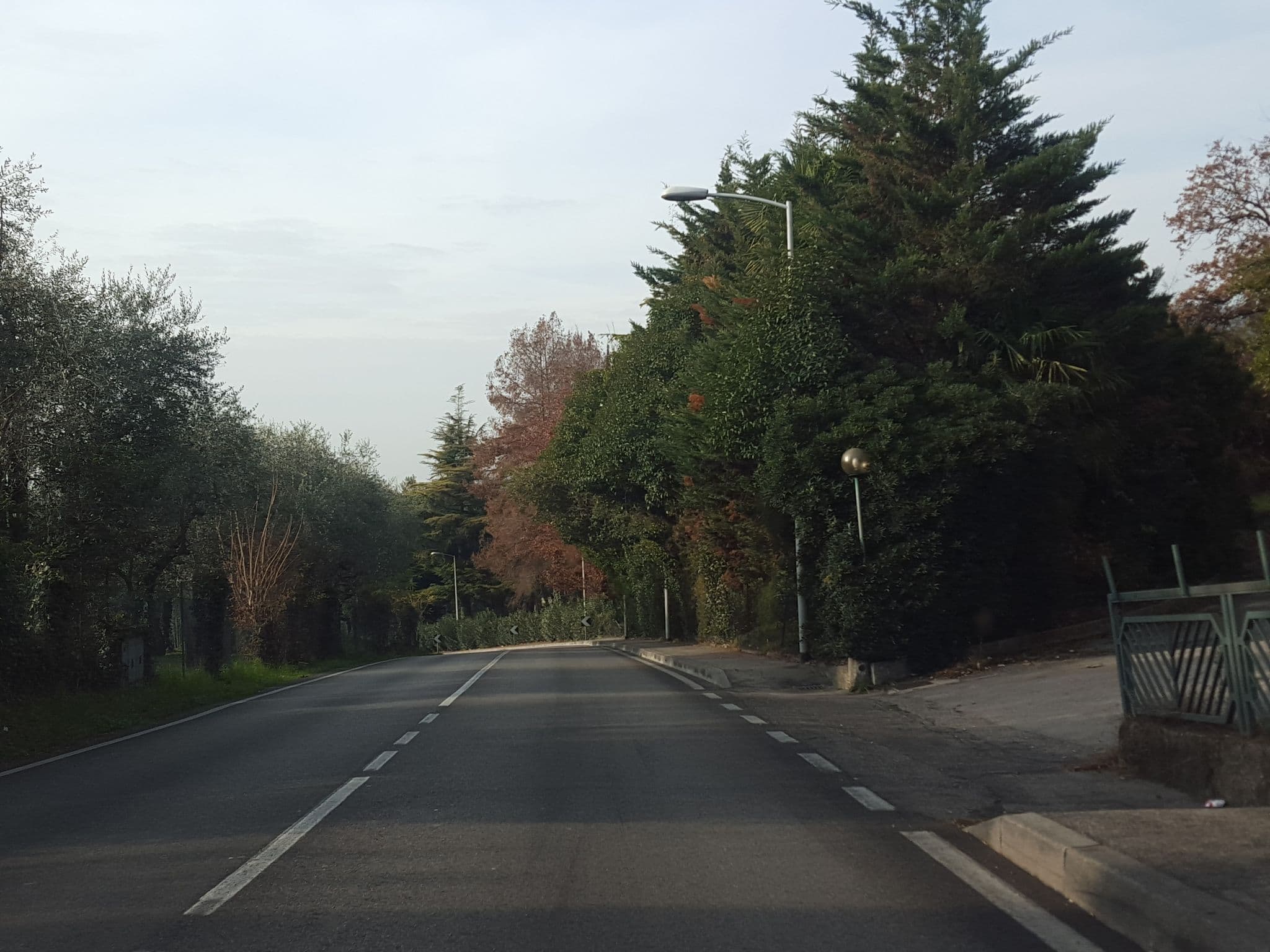 Street view near Hotel Palme SRL, Garda — © lucamenini (CC BY-SA · Mapillary)