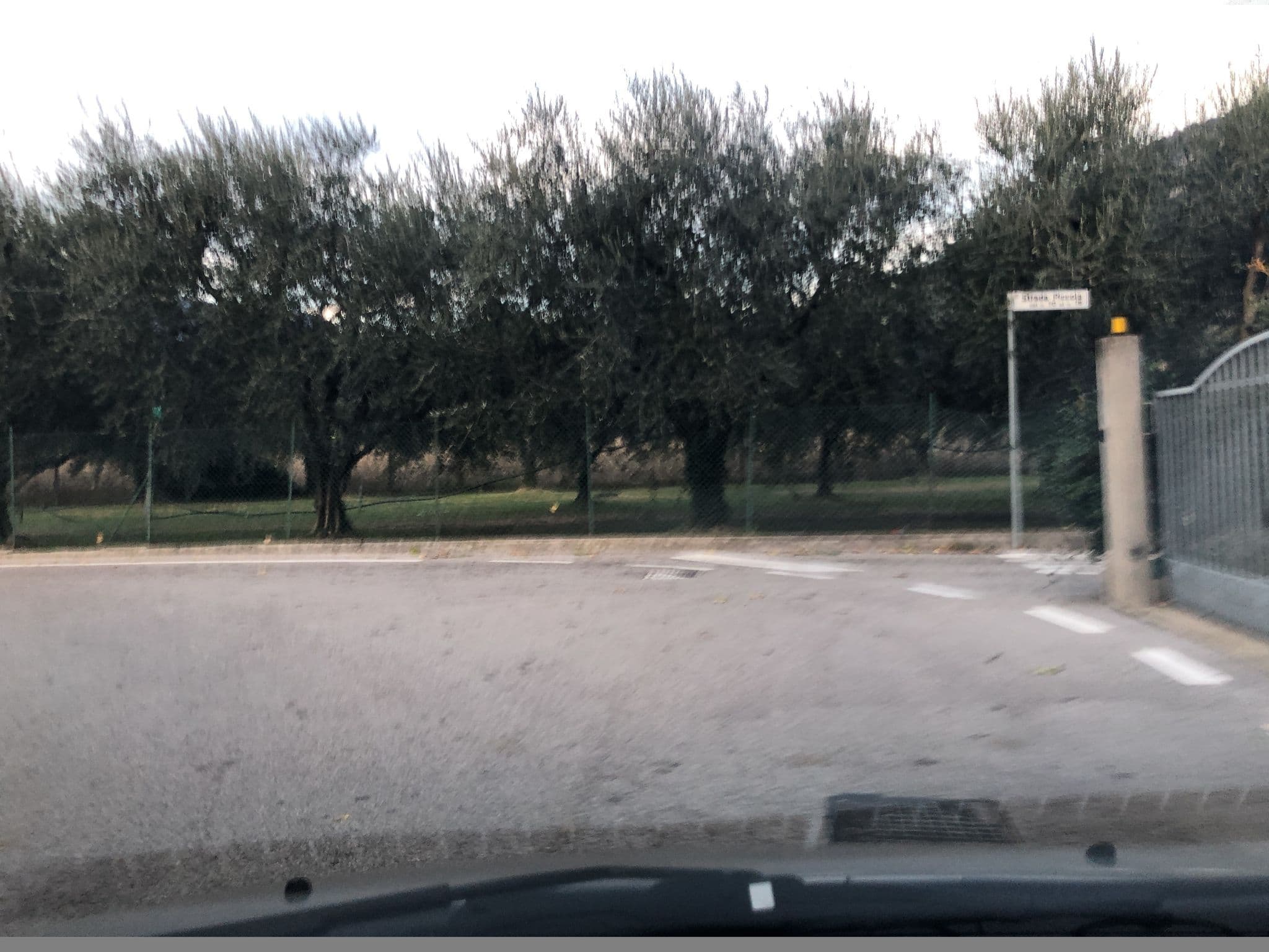 Street view near Appartamenti Nataly, Nago-Torbole — © mich74 (CC BY-SA · Mapillary)