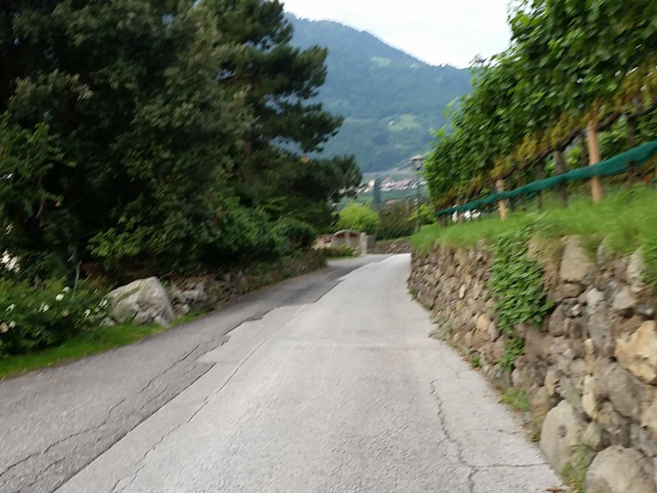 Street view near Traterhof, Lagundo — © whitechristmas (CC BY-SA · Mapillary)