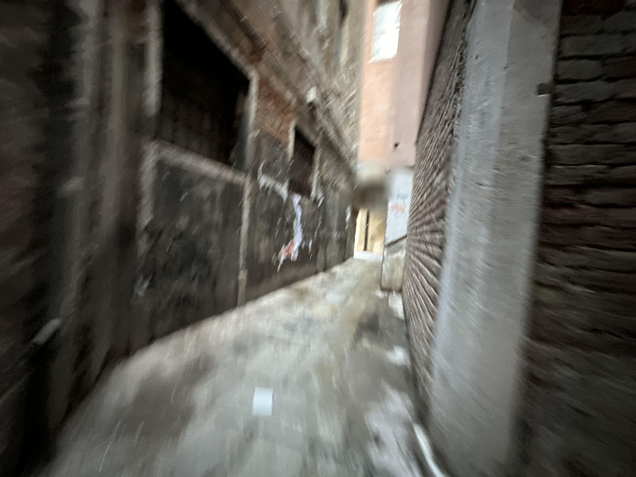 Street view near Venetian Infinity, Venice — © quickness805 (CC BY-SA · Mapillary)