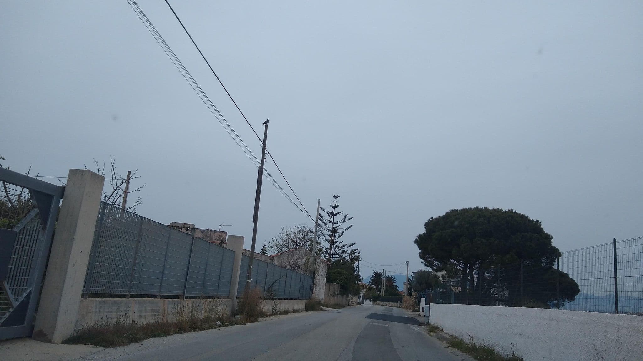 Street view near Villa Oasi del Relax, Castellammare del Golfo — © thetornado76 (CC BY-SA · Mapillary)