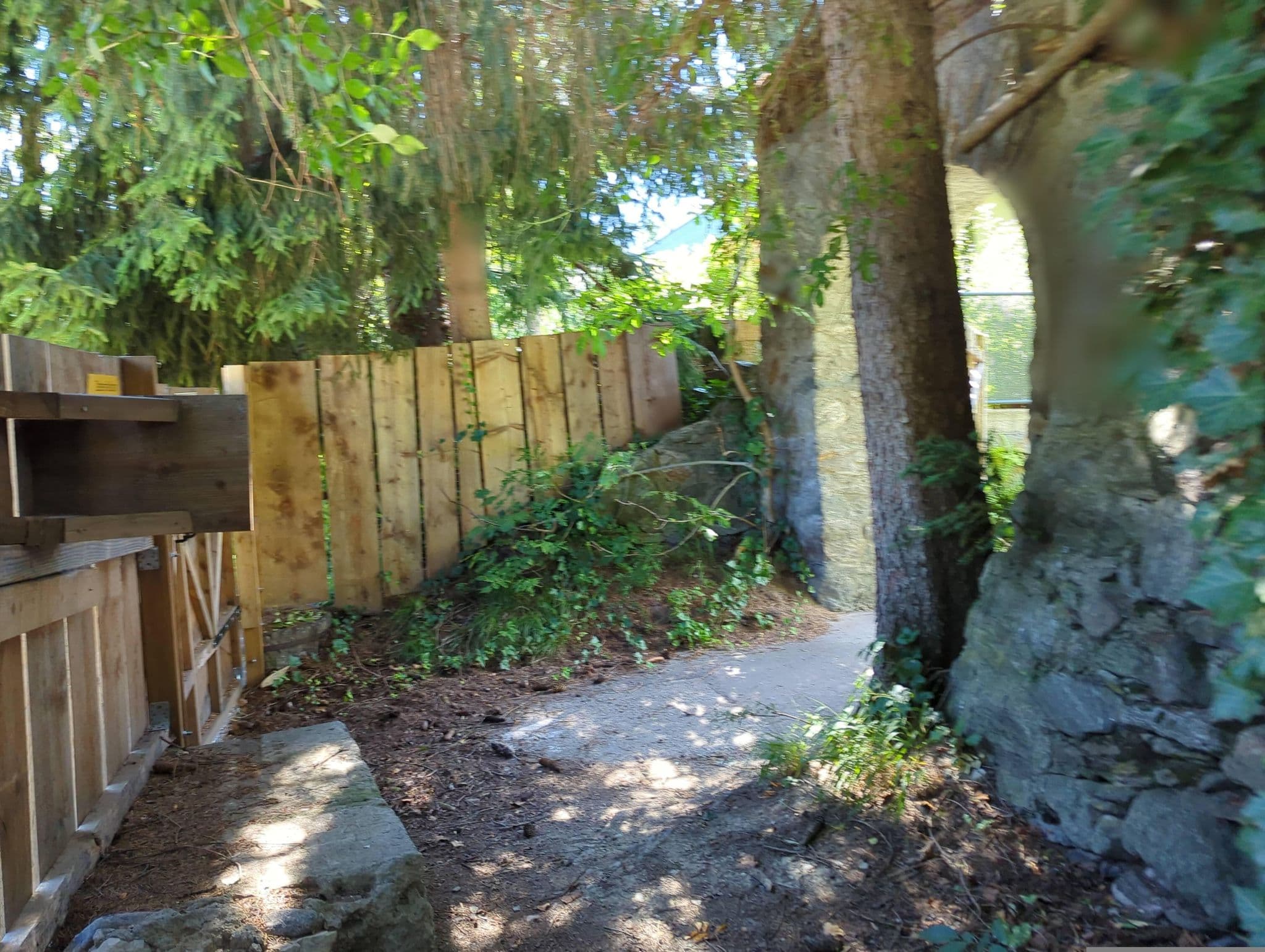 Street view near Haidenhof, Lienz — © asdf (CC BY-SA · Mapillary)