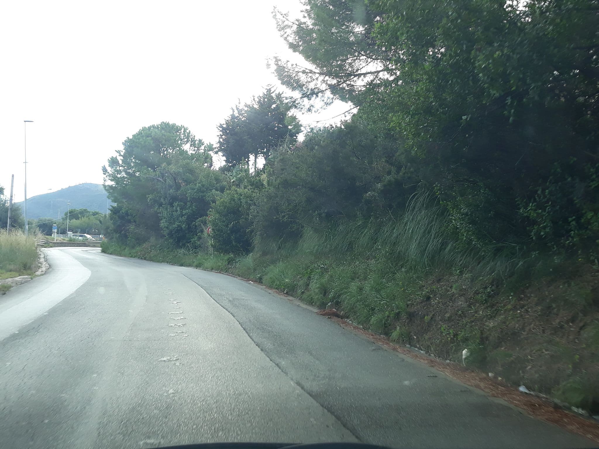 Street view near Suite Levante, Cefalù — © roberto_inzerillo (CC BY-SA · Mapillary)