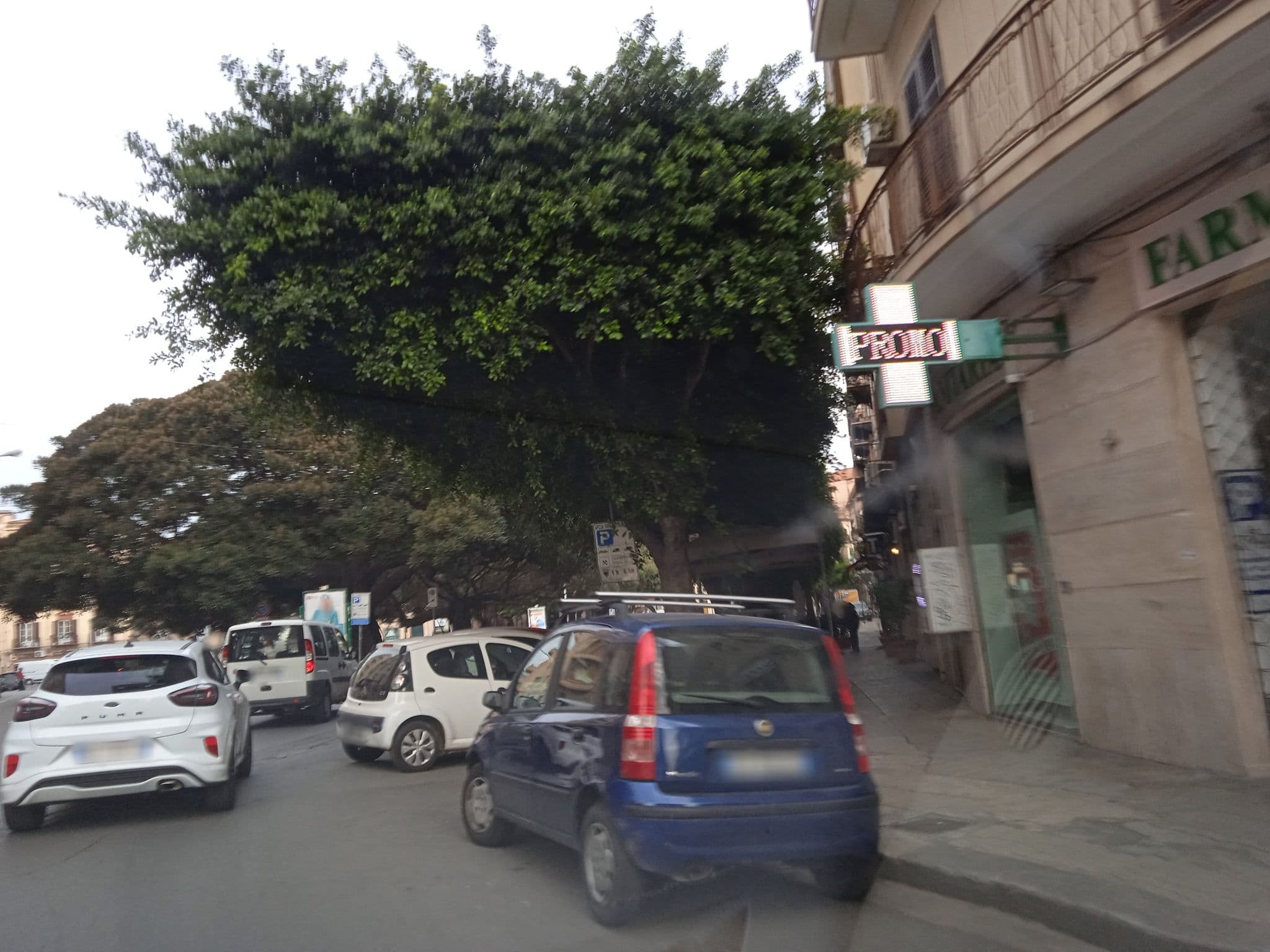 Street view near B&b Glamour, Palermo — © p8fy9y9fs (CC BY-SA · Mapillary)