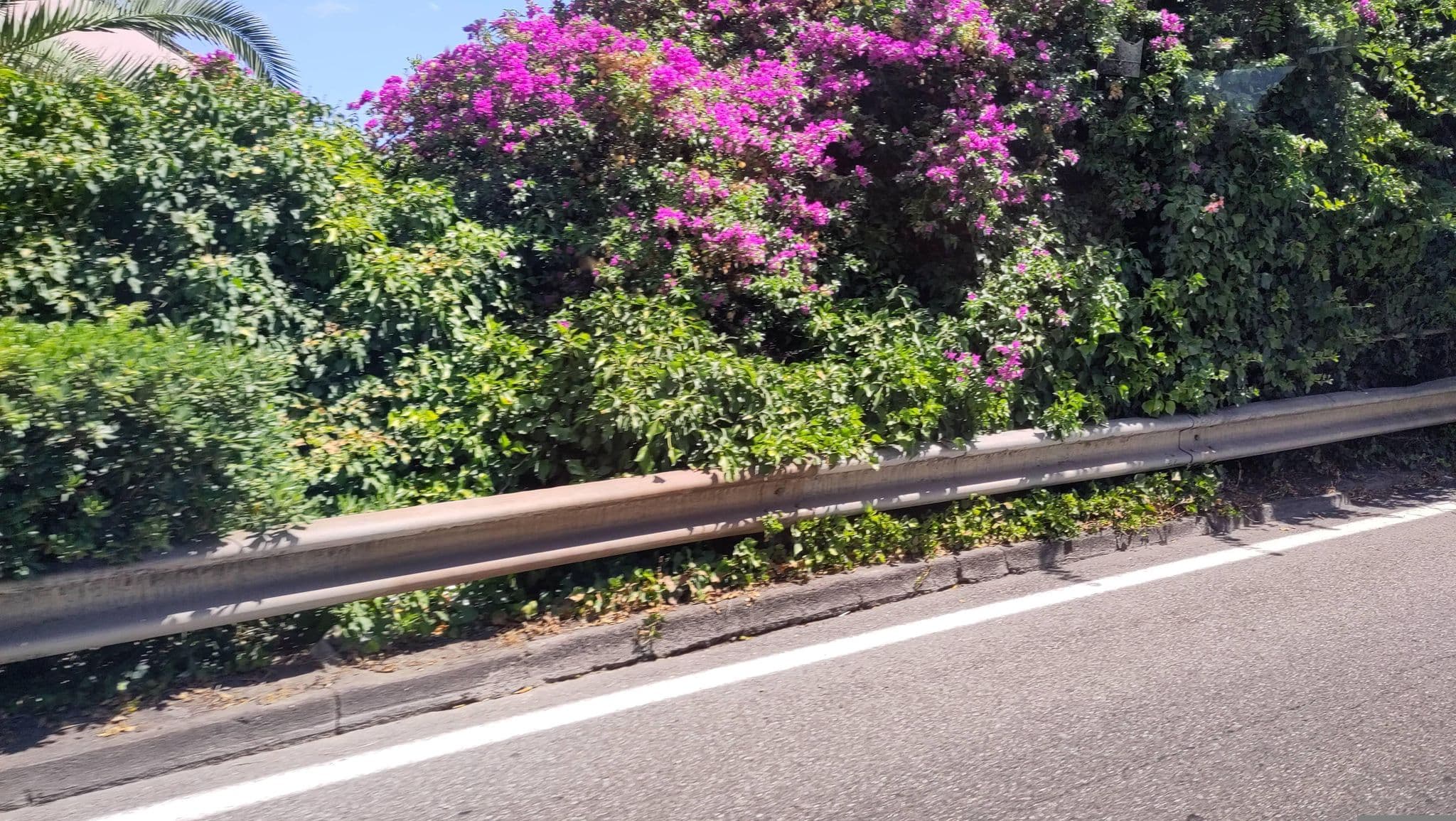 Street view near La Cage aux Folles, Taormina — © marcuscalabresus (CC BY-SA · Mapillary)