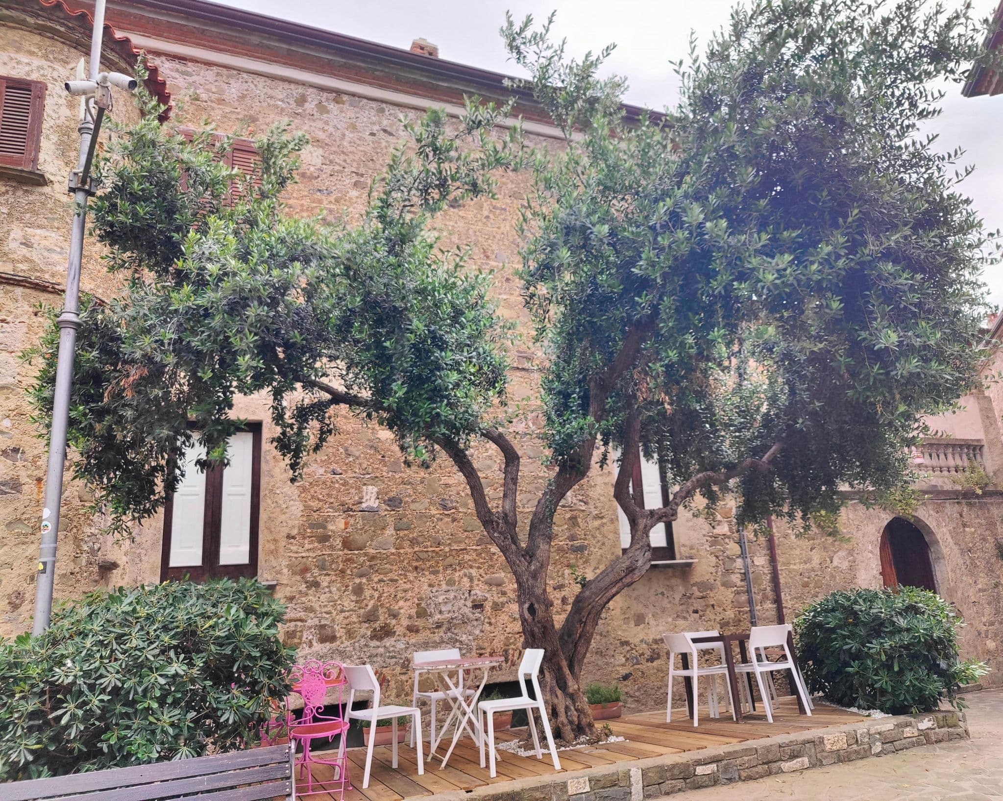 Street view near Esp Hotels SRL, Marina di Casal Velino — © elgolfo (CC BY-SA · Mapillary)