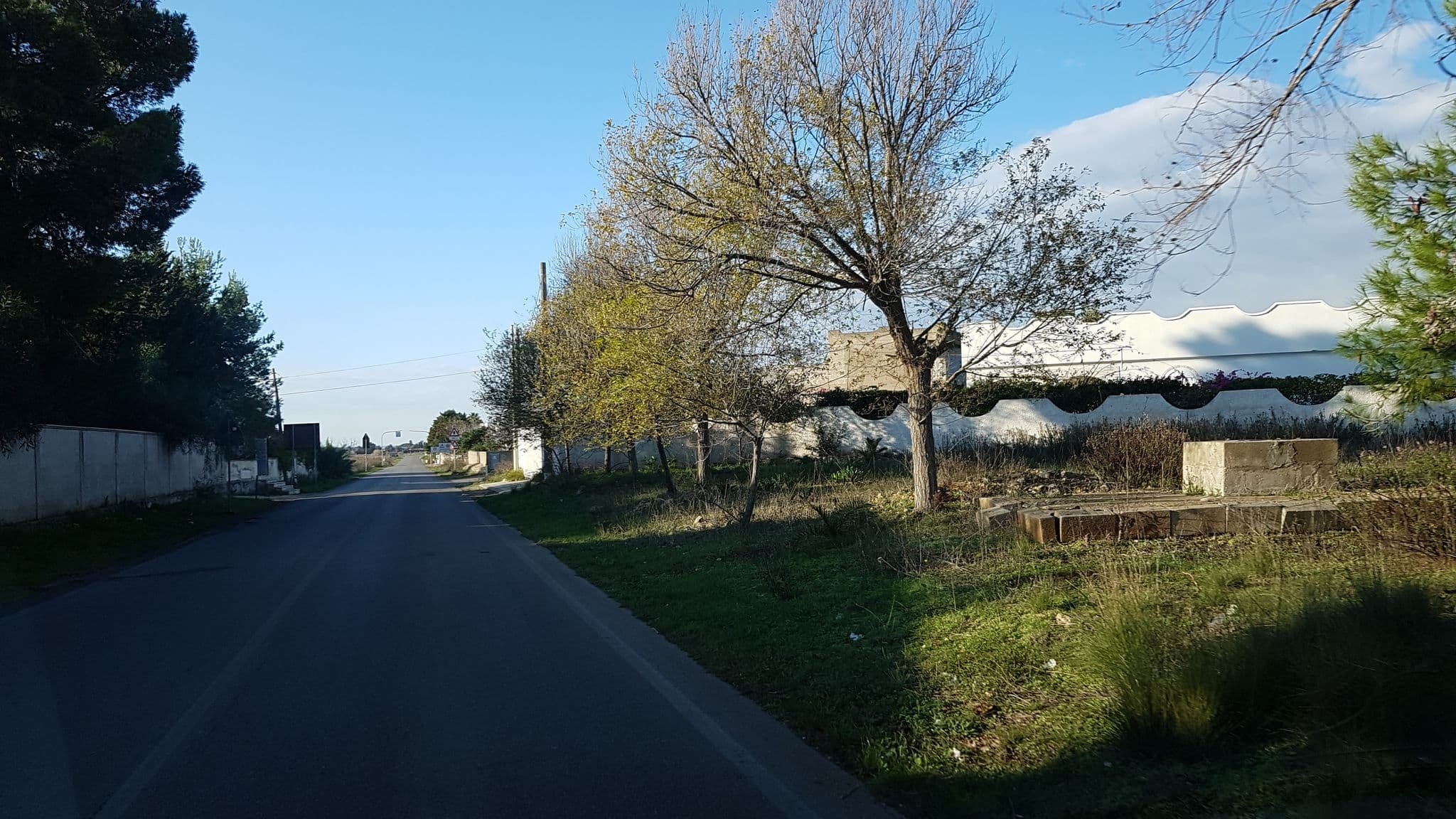 Street view near Blu Salentino, Porto Cesareo — © ale_zena_it (CC BY-SA · Mapillary)