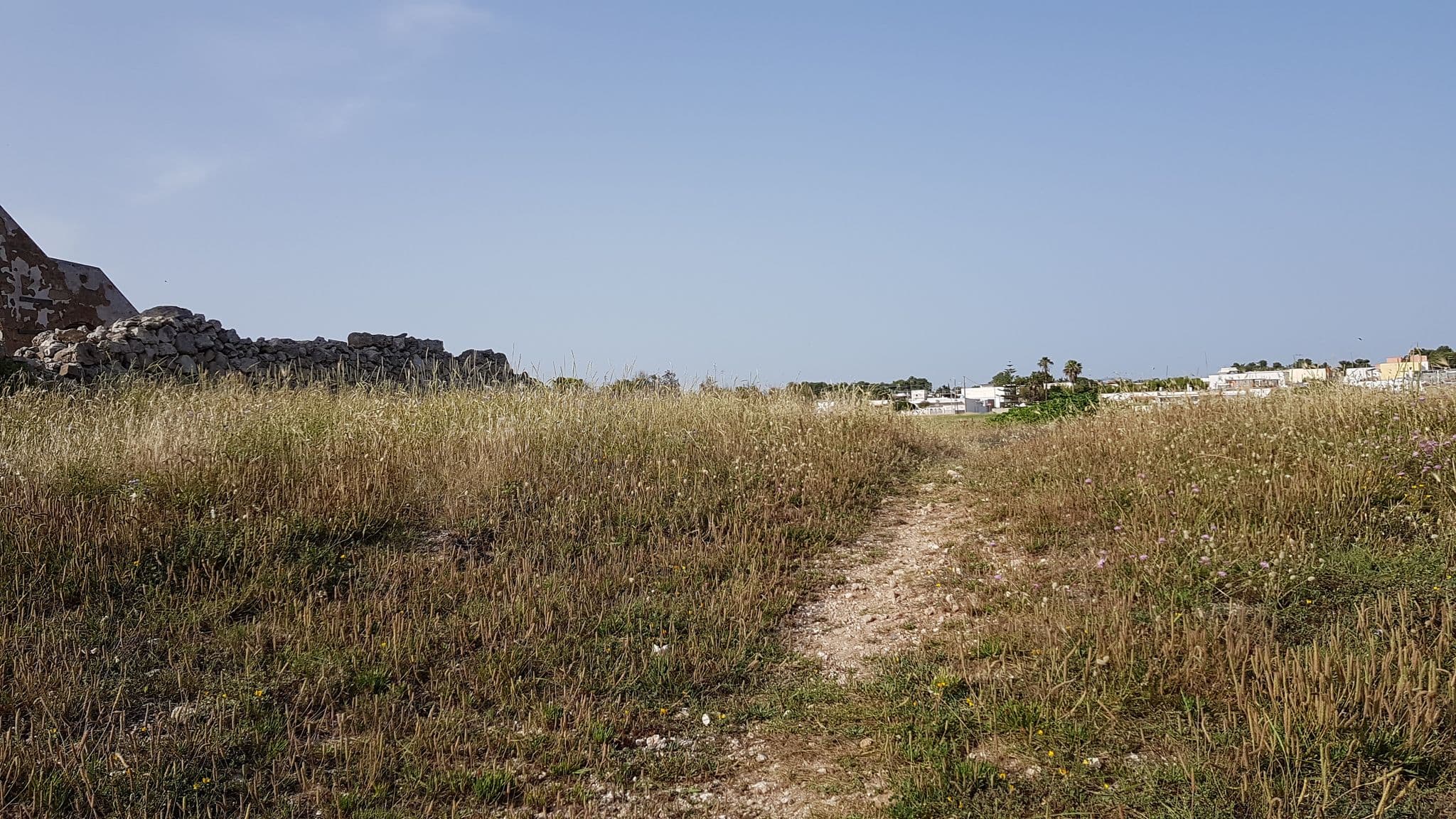 Street view near Locazione Turistica Torre Squillace, Porto Cesareo — © ale_zena_it (CC BY-SA · Mapillary)
