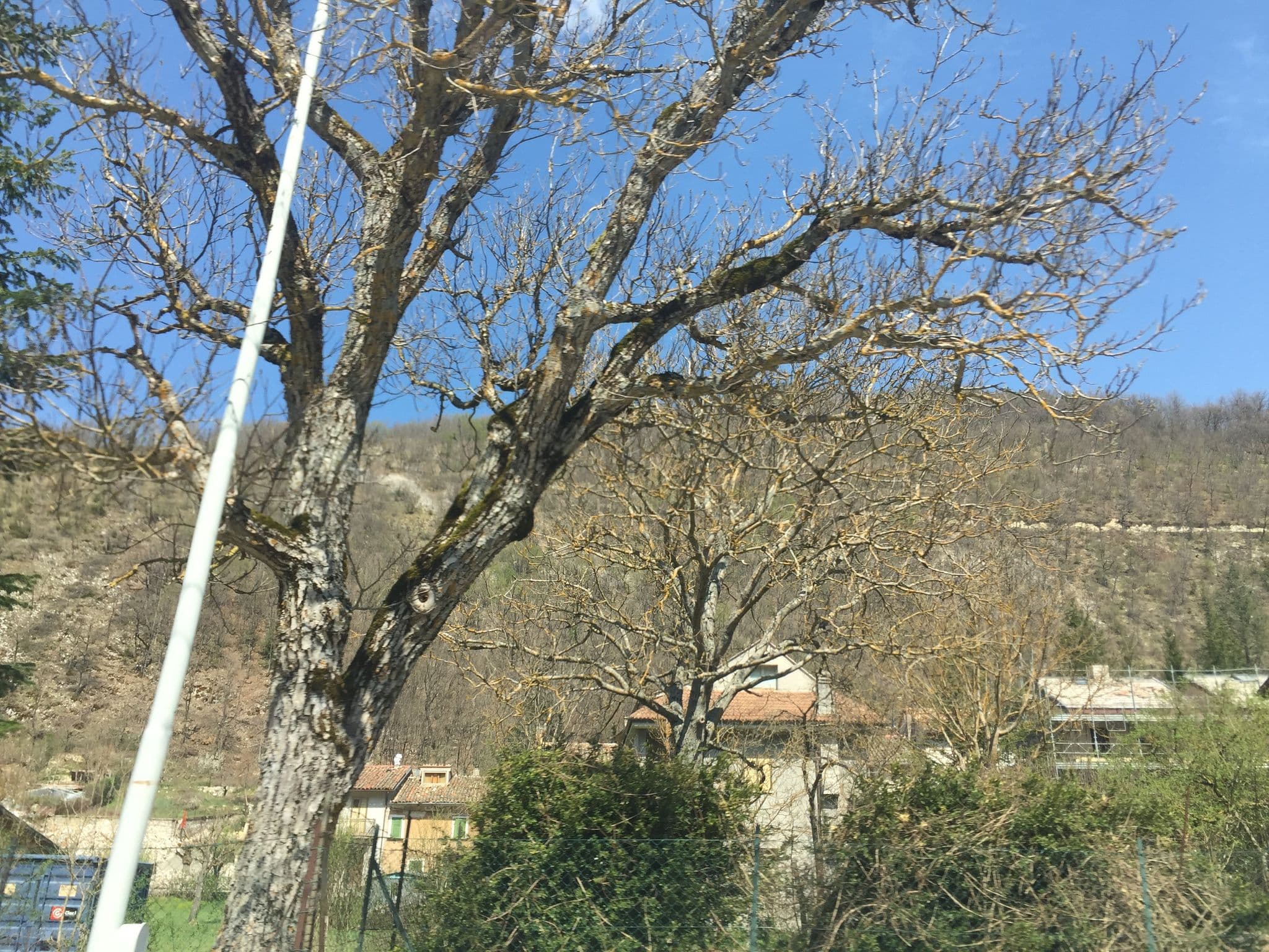 Street view near Hotel Crystal, Pieve Torina — © tci (CC BY-SA · Mapillary)