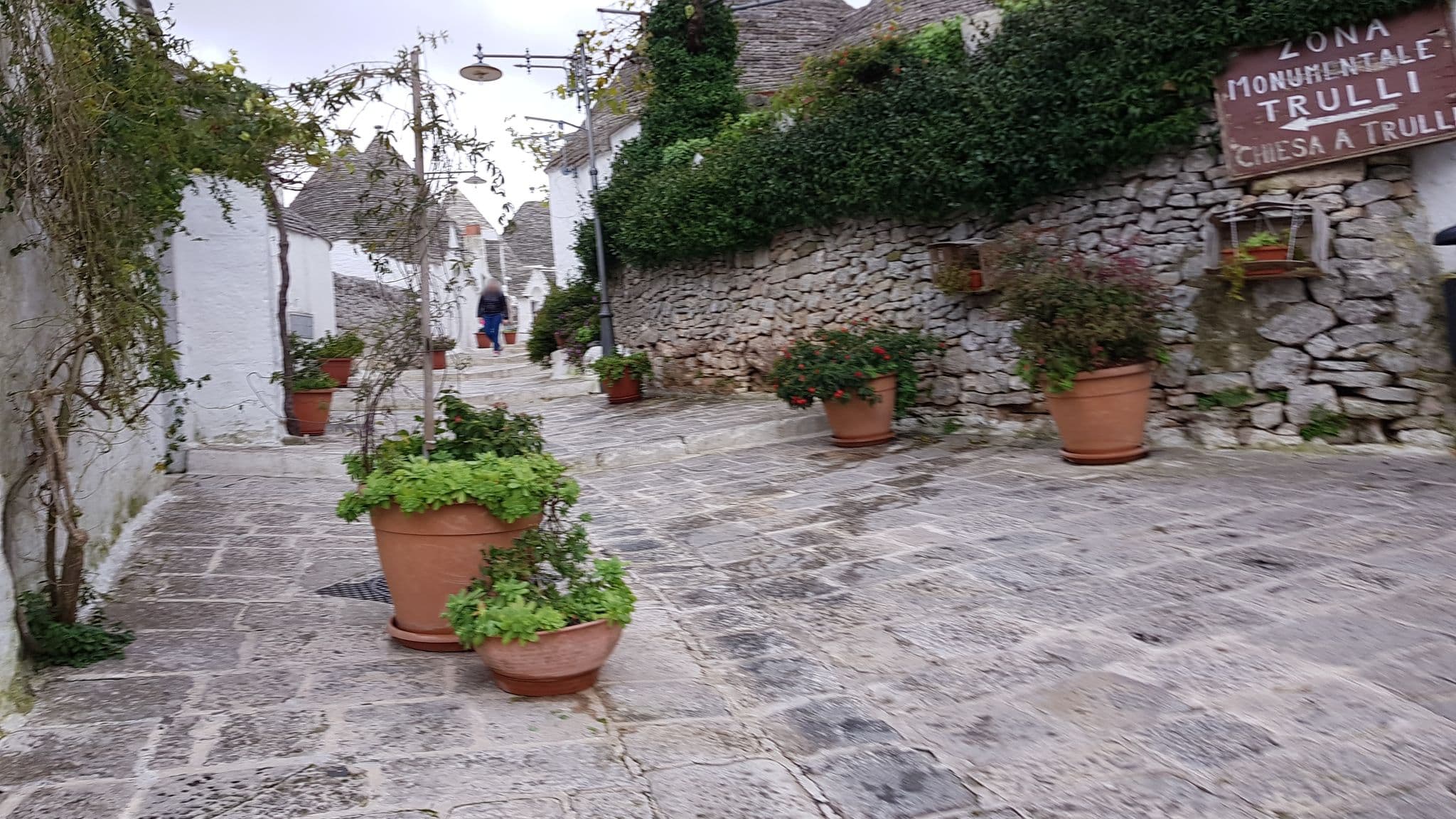 Street view near Terrazza Sui Trulli, Alberobello — © ale_zena_it (CC BY-SA · Mapillary)