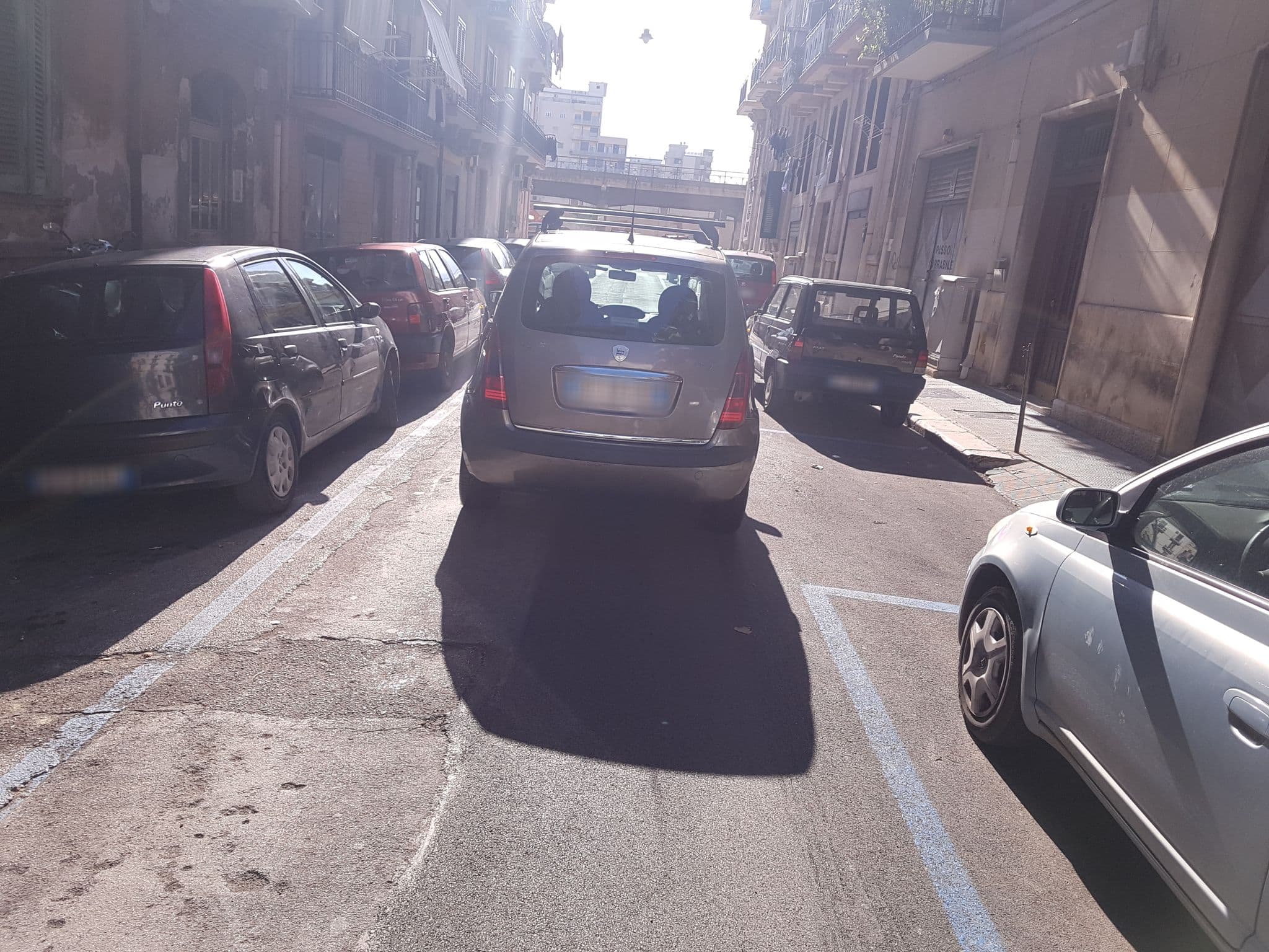 Street view near Maya's Sweet Home, Bari — © tornike (CC BY-SA · Mapillary)