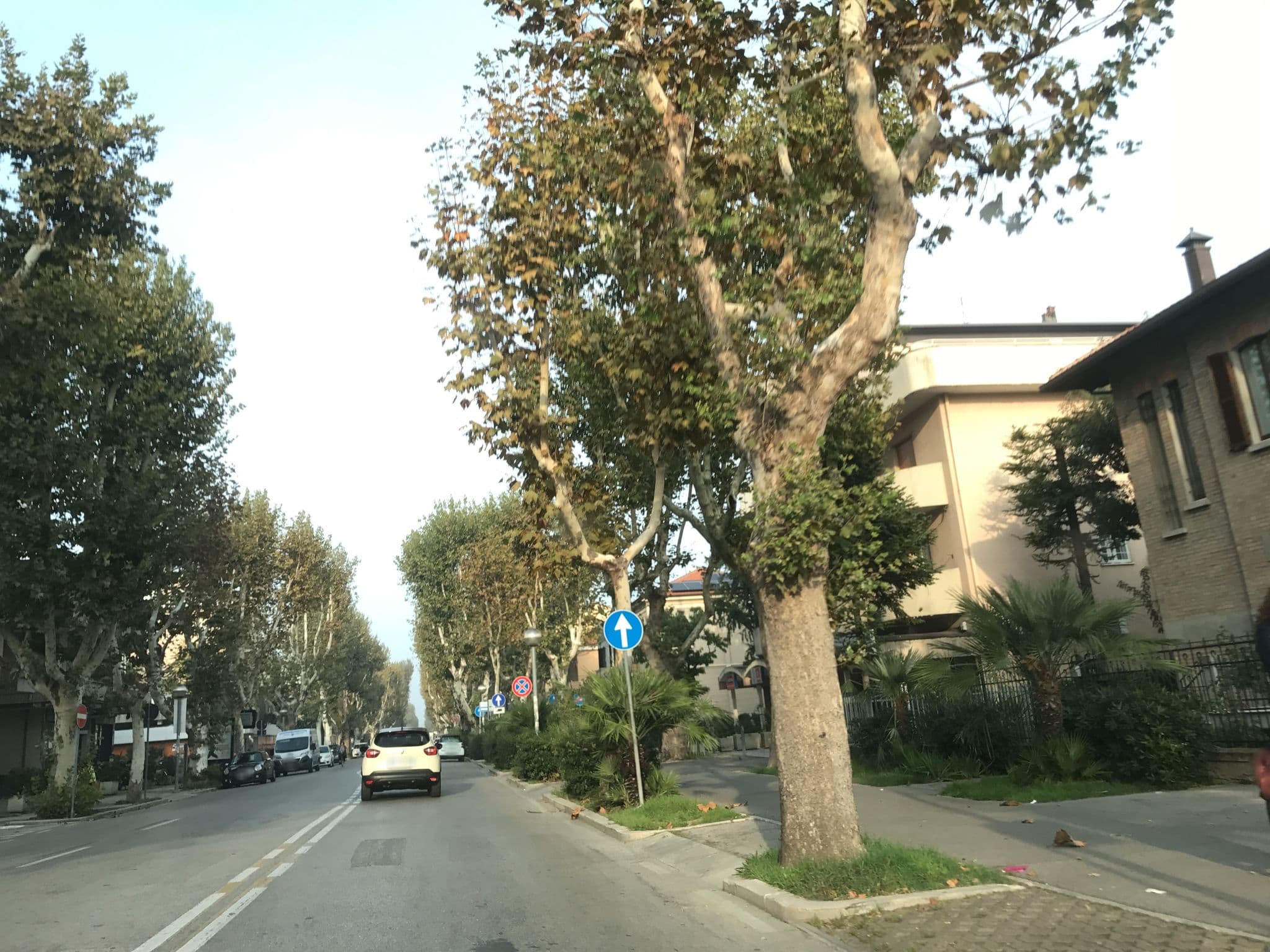 Street view near Zelmirá b&b, Rimini — © asturksever (CC BY-SA · Mapillary)