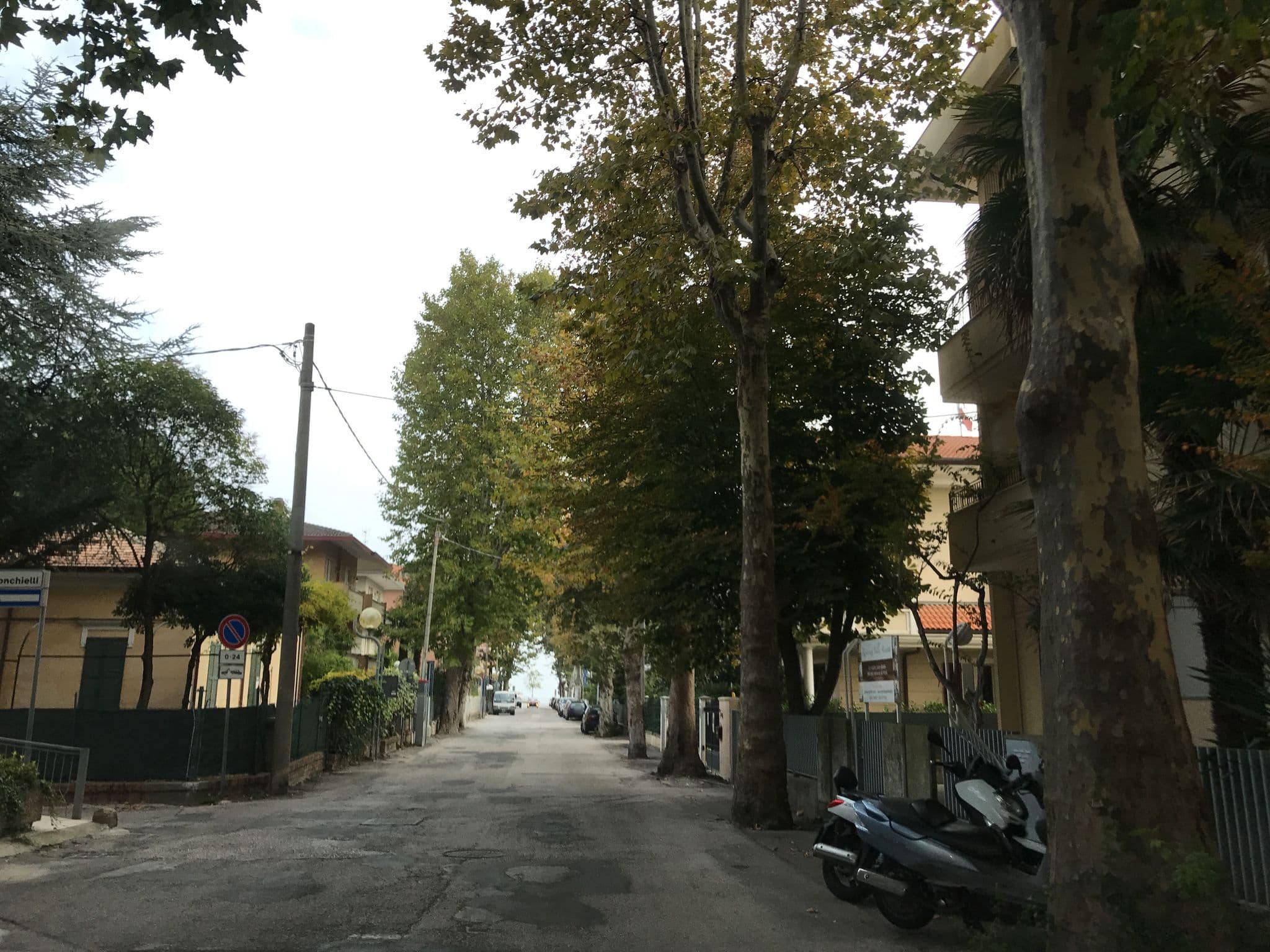 Street view near Albergo Villa Cicchini, Rimini — © asturksever (CC BY-SA · Mapillary)