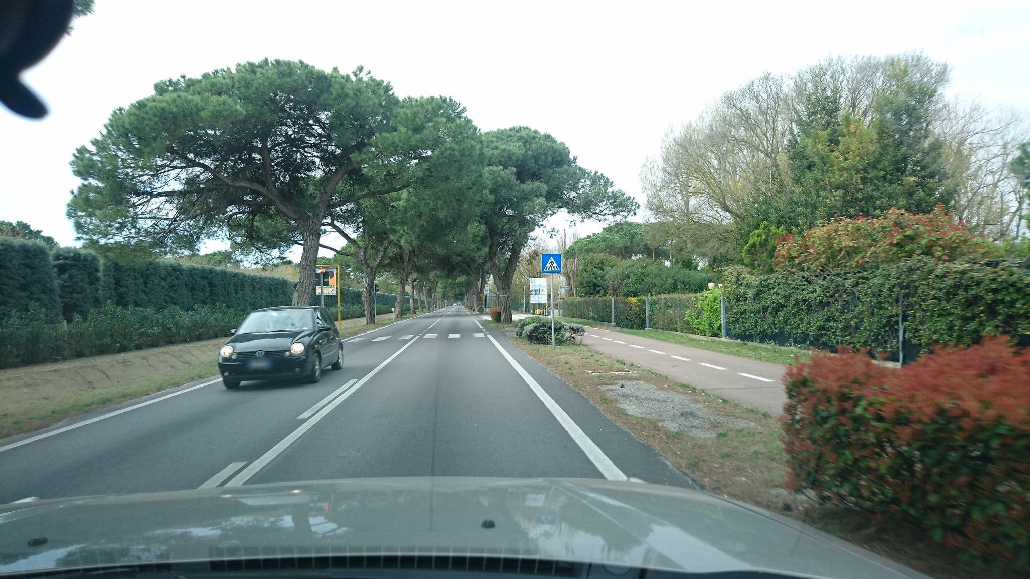 Street view near Luxury Camp, Ca' Savio — © voschix (CC BY-SA · Mapillary)