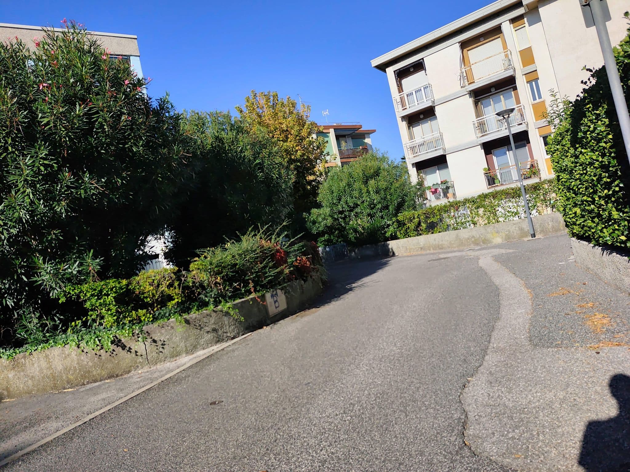 Street view near Touring SRL, Grado — © Duro (CC BY-SA · Mapillary)