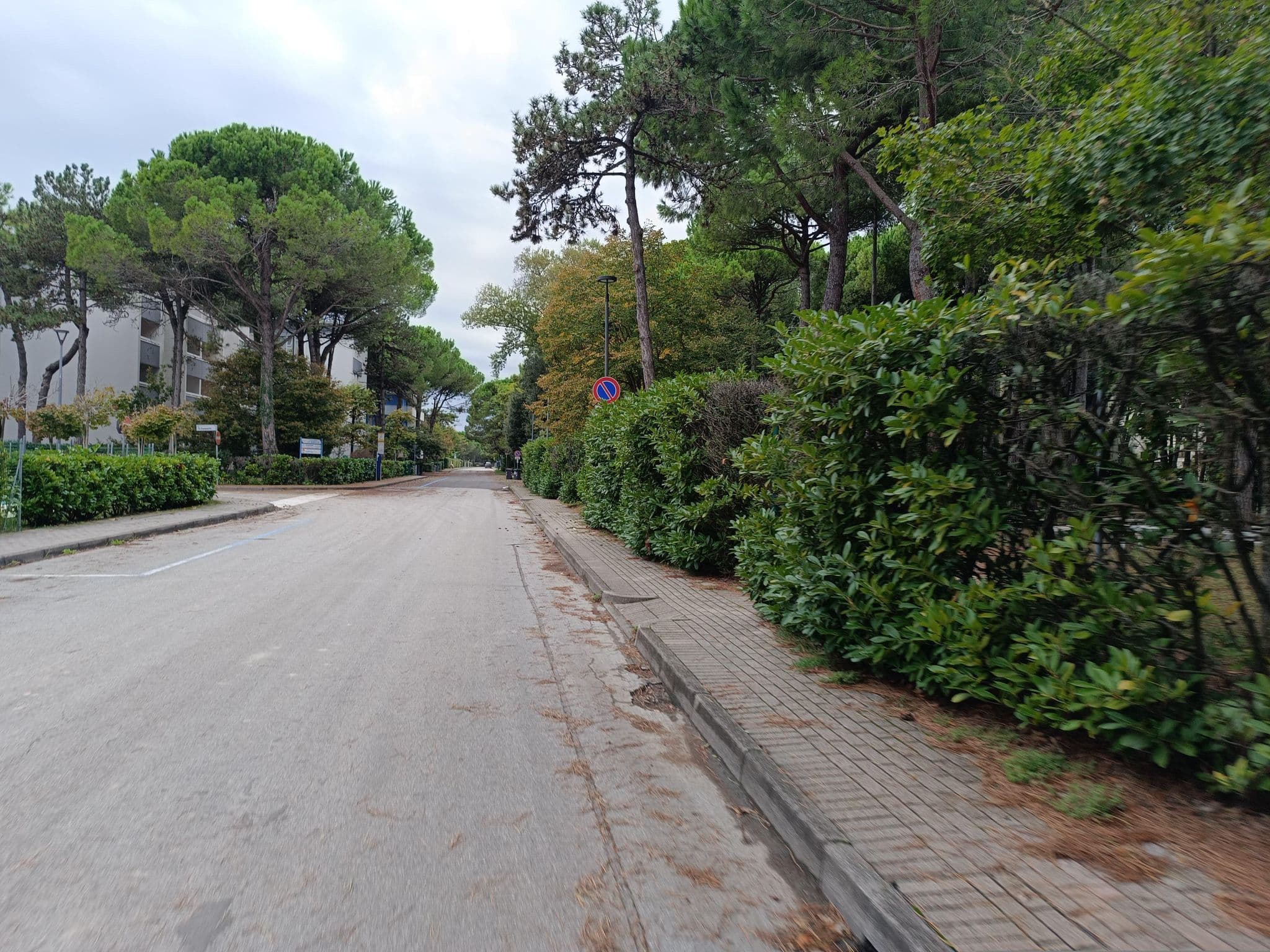 Street view near Appartamenti Erica, Bibione — © Duro (CC BY-SA · Mapillary)