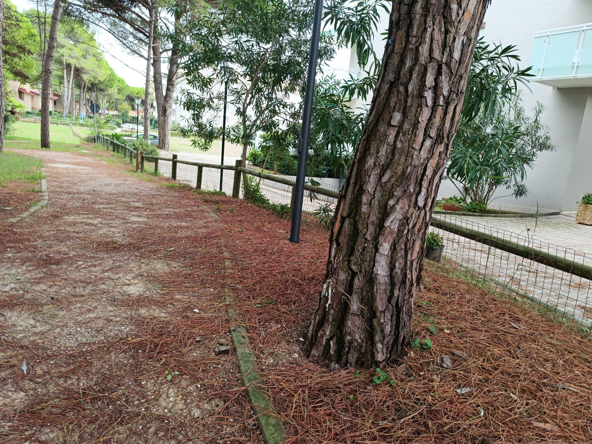Street view near Residence Shakespeare, Lignano Sabbiadoro — © Duro (CC BY-SA · Mapillary)