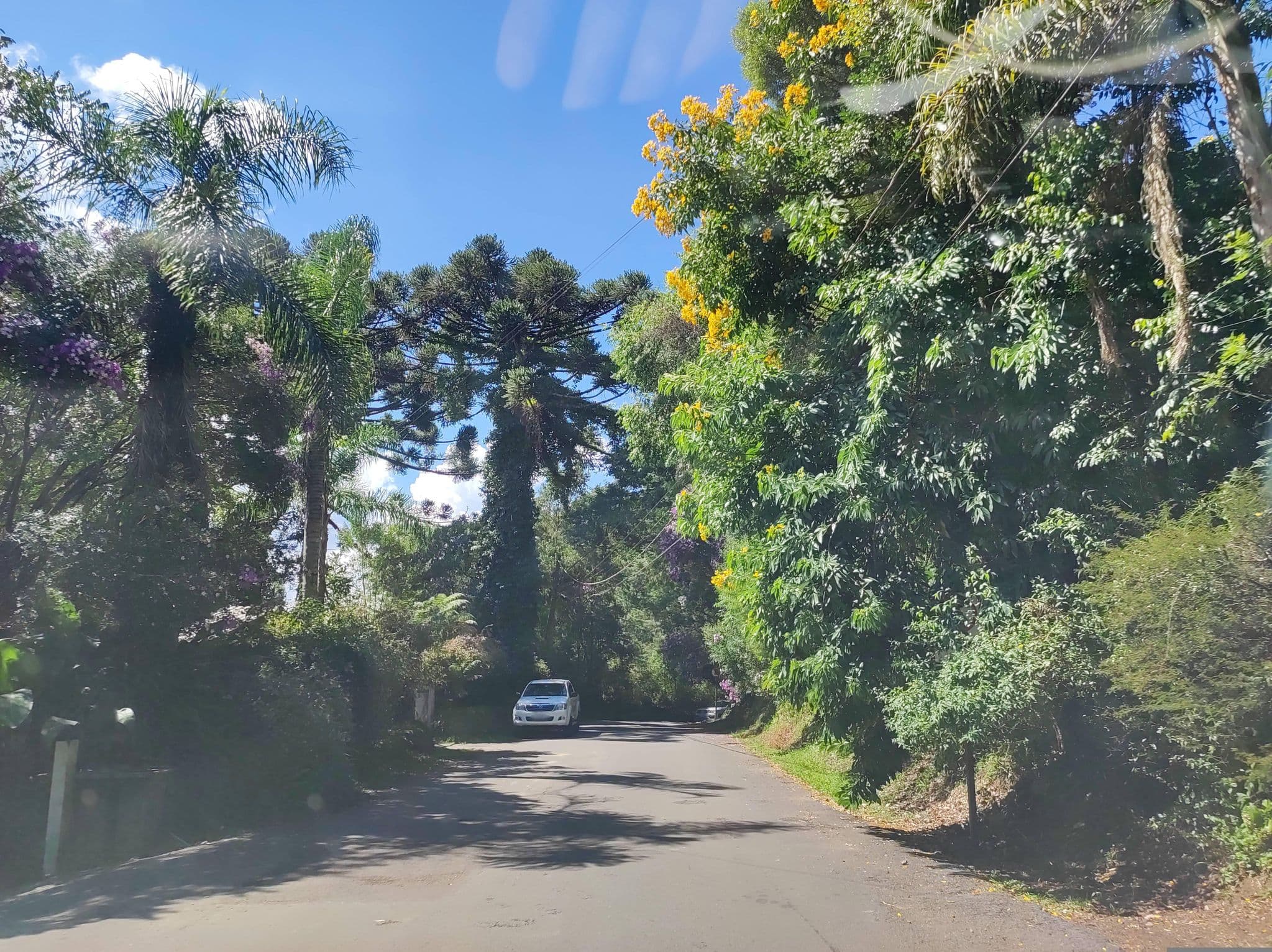 Street view near CAFÉ DA MANHÃ - POUSADA LAGO NEGRO, Gramado — © diegokrein (CC BY-SA · Mapillary)