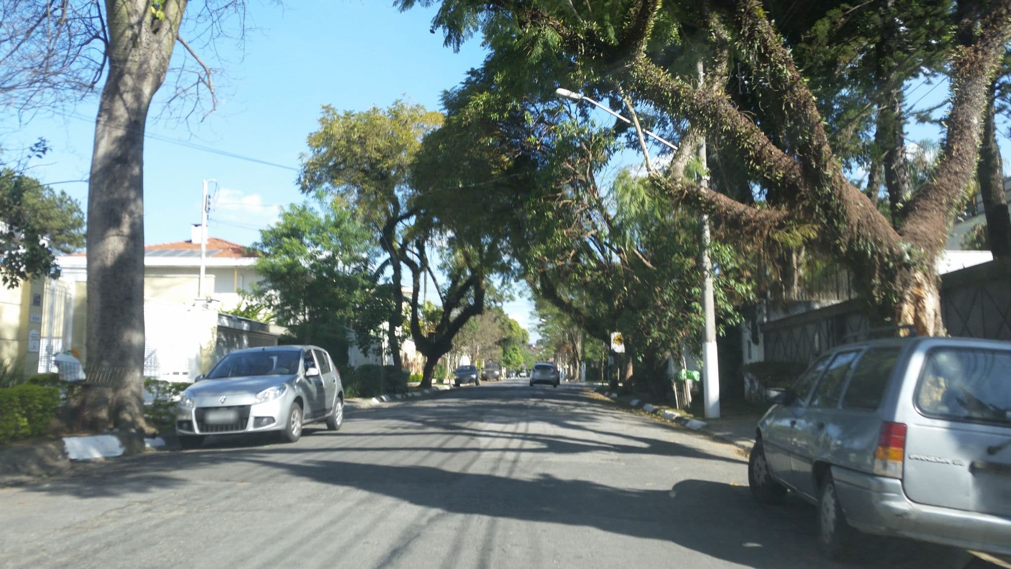 Street view near Monkey Island, Campo Belo — © guilherme_peev (CC BY-SA · Mapillary)