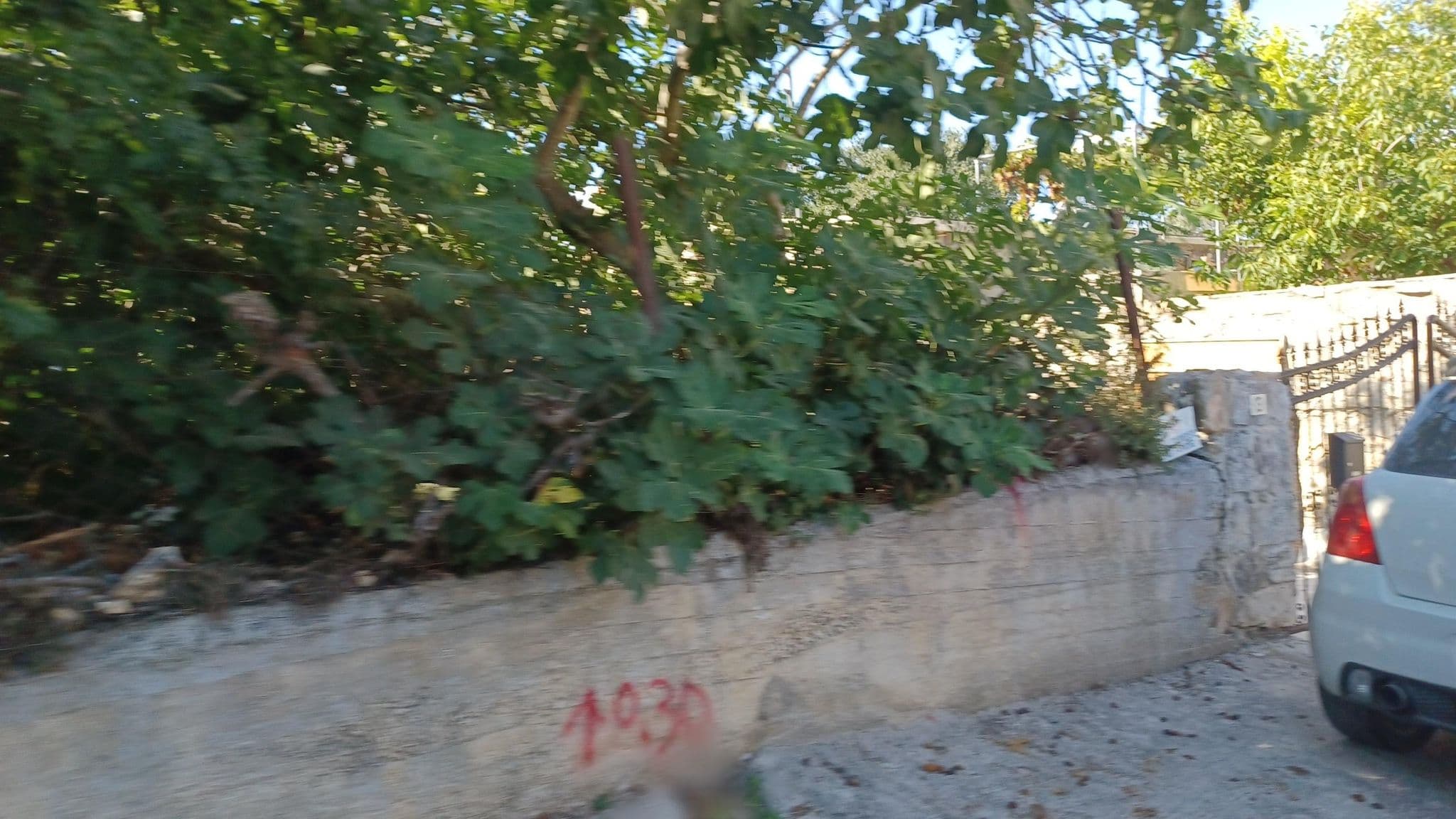 Street view near Traditional Papasavvas house, Pégeia — © noa1 (CC BY-SA · Mapillary)