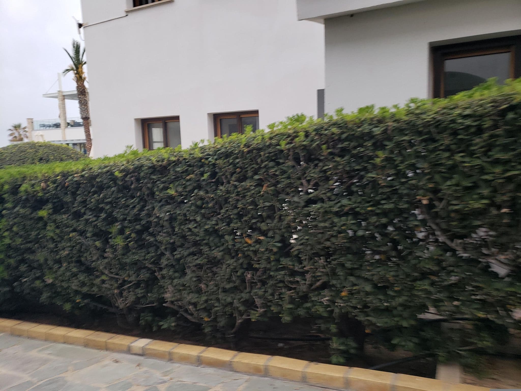 Street view near Kefalos Beach Village, Paphos — © mapfool (CC BY-SA · Mapillary)