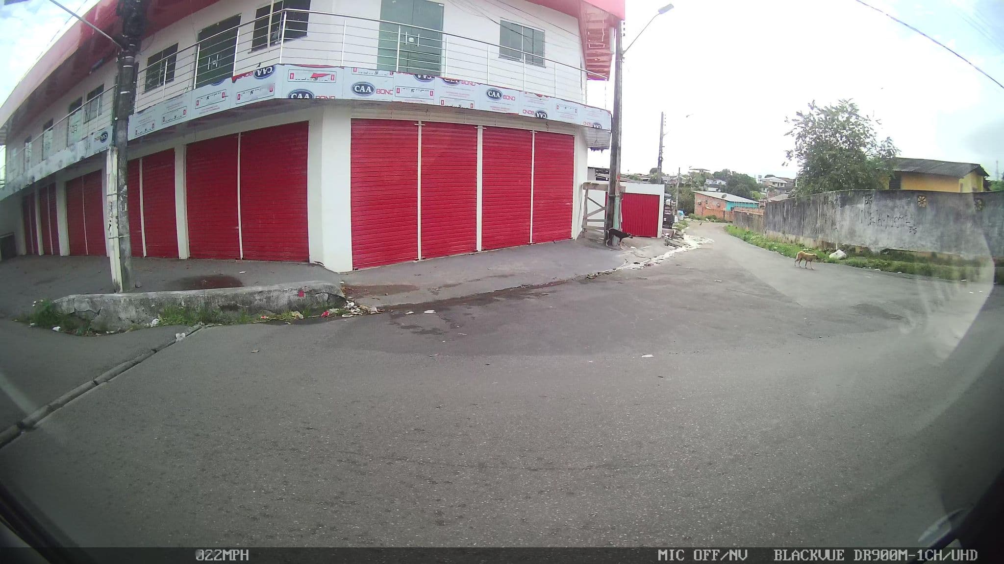 Street view near D ' Lirios Pousada, Manaus — © kaart_1 (CC BY-SA · Mapillary)