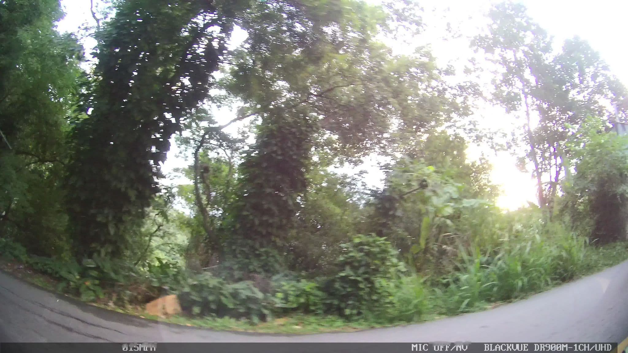 Street view near Casa Grumari Rio De Janeiro, Barra da Tijuca — © kaart_1 (CC BY-SA · Mapillary)