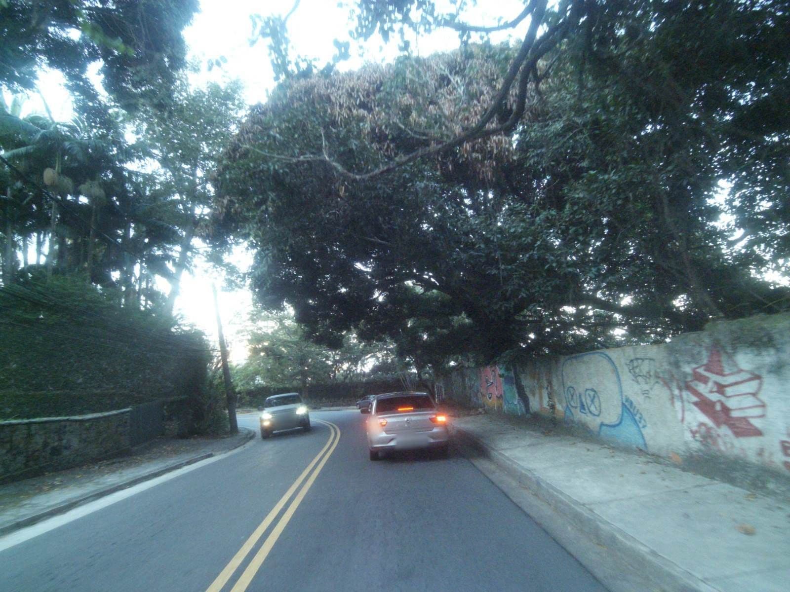 Street view near ACJ Guesthouse, São Conrado — © projevias (CC BY-SA · Mapillary)