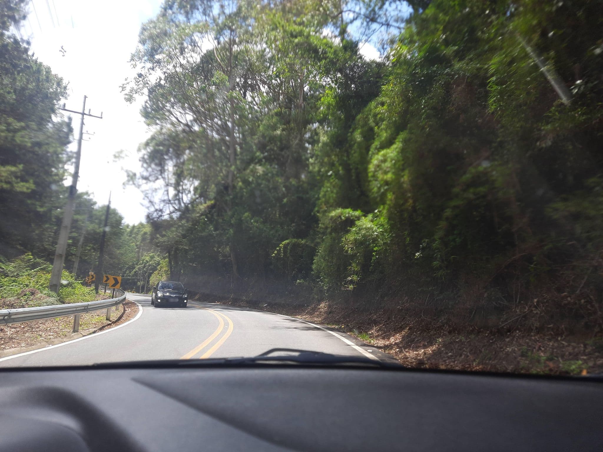 Street view near Green Mountains Hotel, Monte Verde — © alemenezes (CC BY-SA · Mapillary)