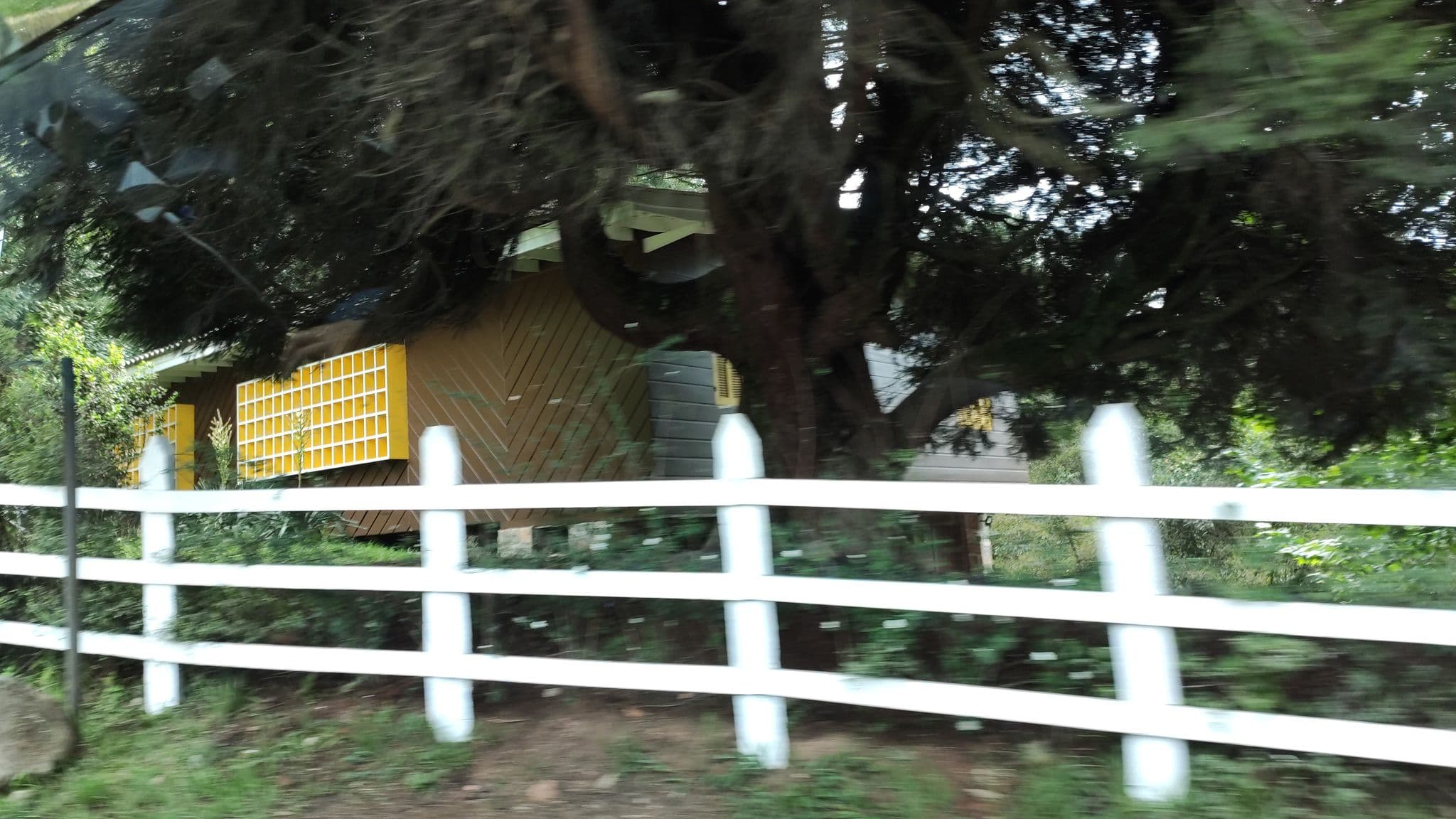 Street view near Uspesp - Colônia De Férias Dos Servidores Públicos, Campos do Jordão — © nathancruz77 (CC BY-SA · Mapillary)